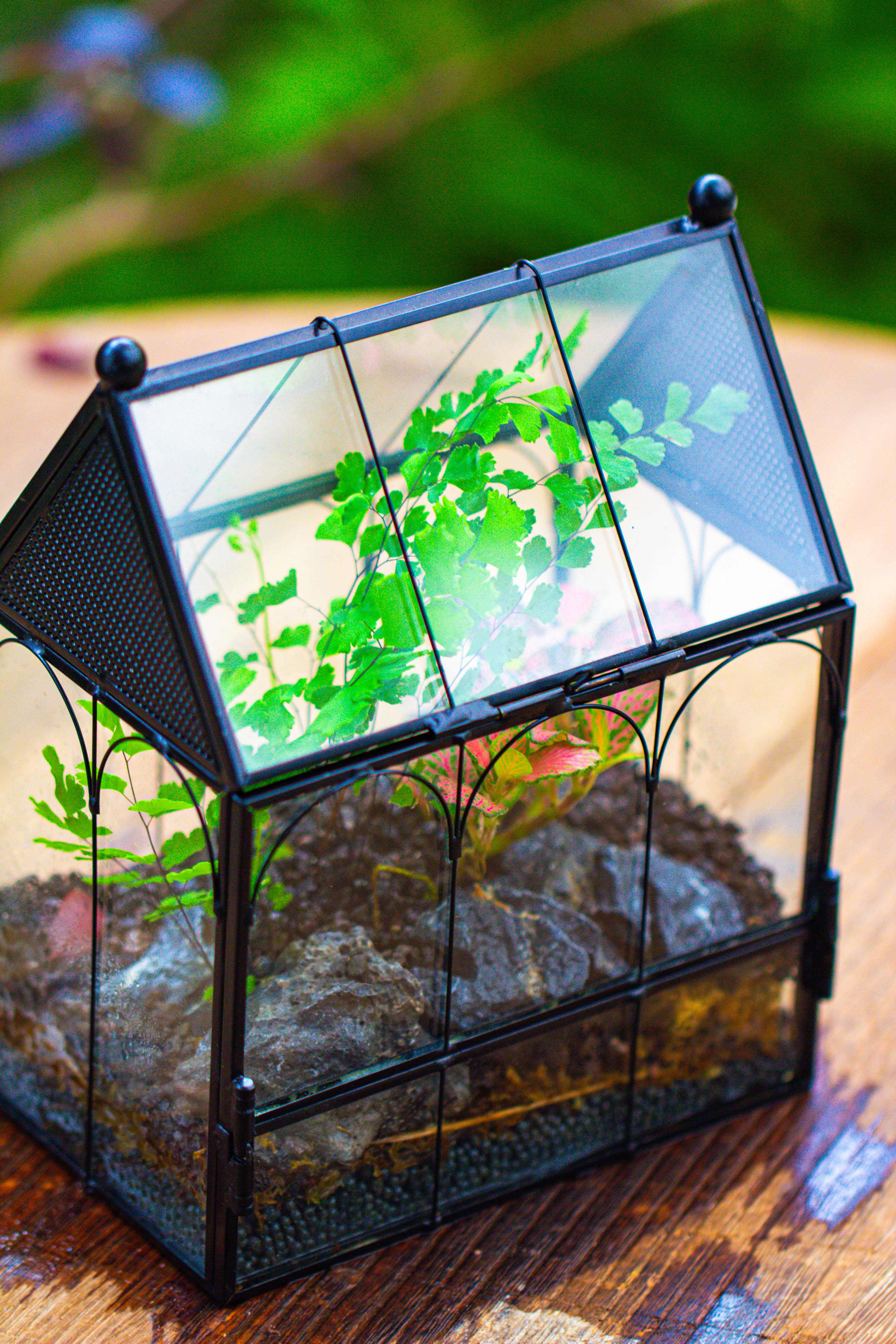 Vintage Mini House Shape Glass Geometric Terrarium for Jumping spider - NCYPgarden