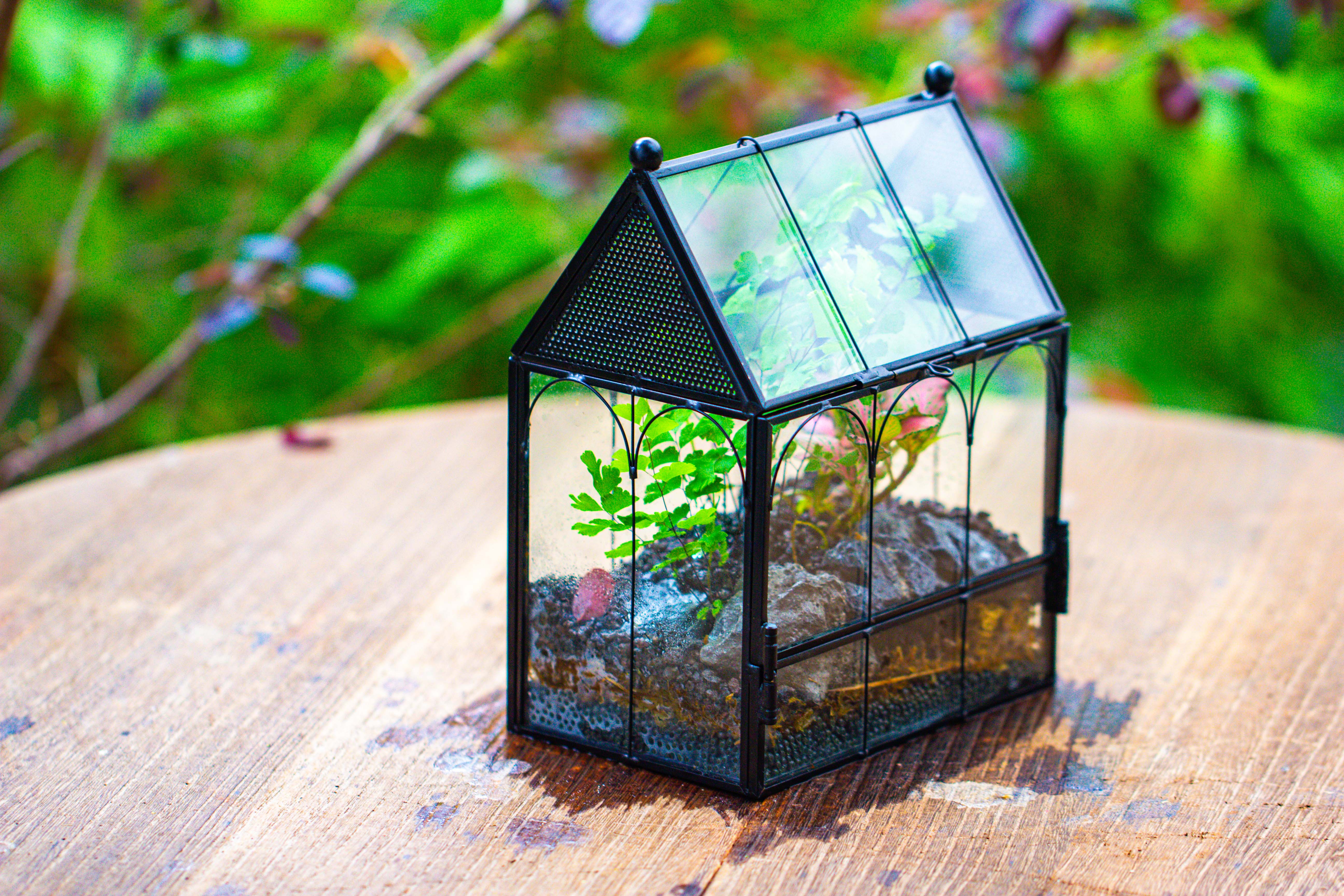 Vintage Mini House Shape Glass Geometric Terrarium for Jumping spider - NCYPgarden