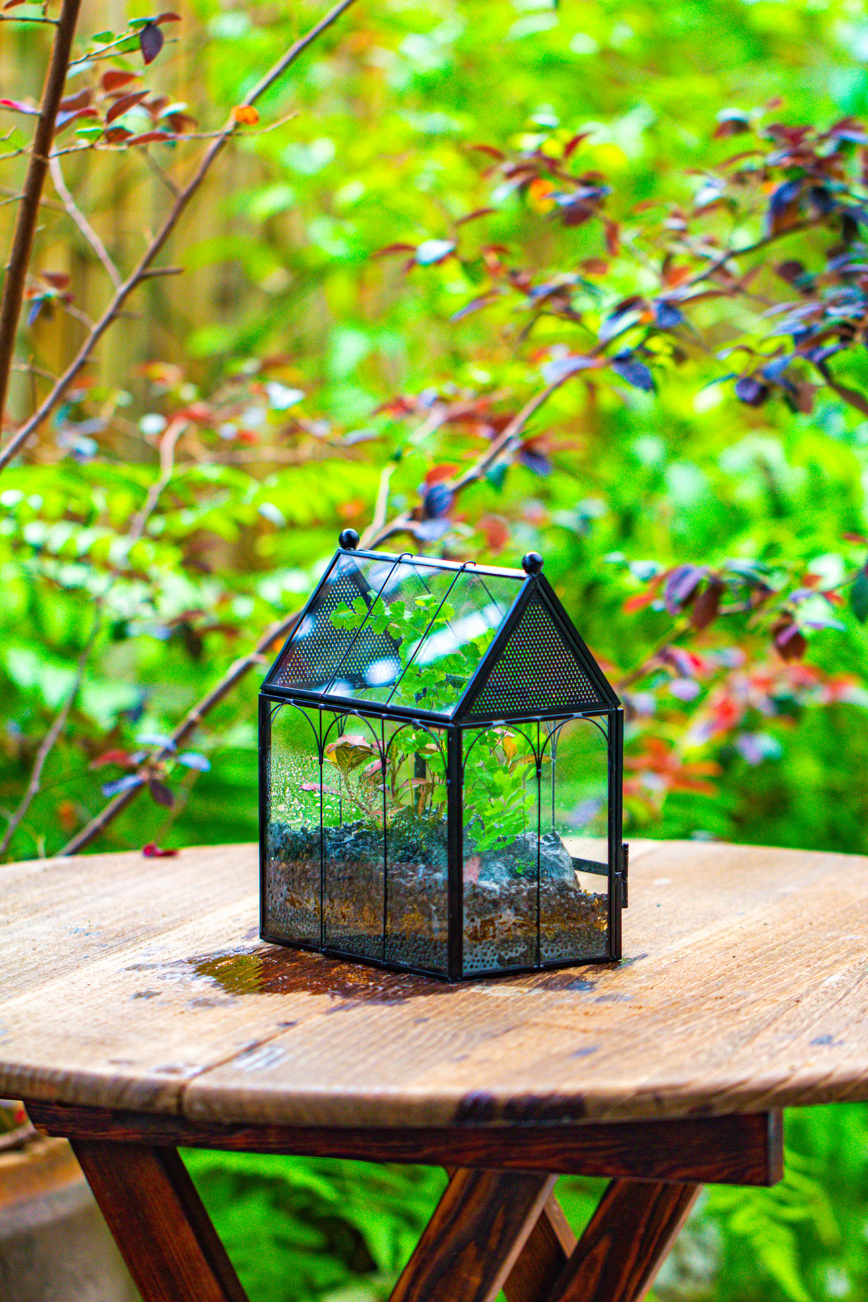 Vintage Mini House Shape Glass Geometric Terrarium for Jumping spider - NCYPgarden