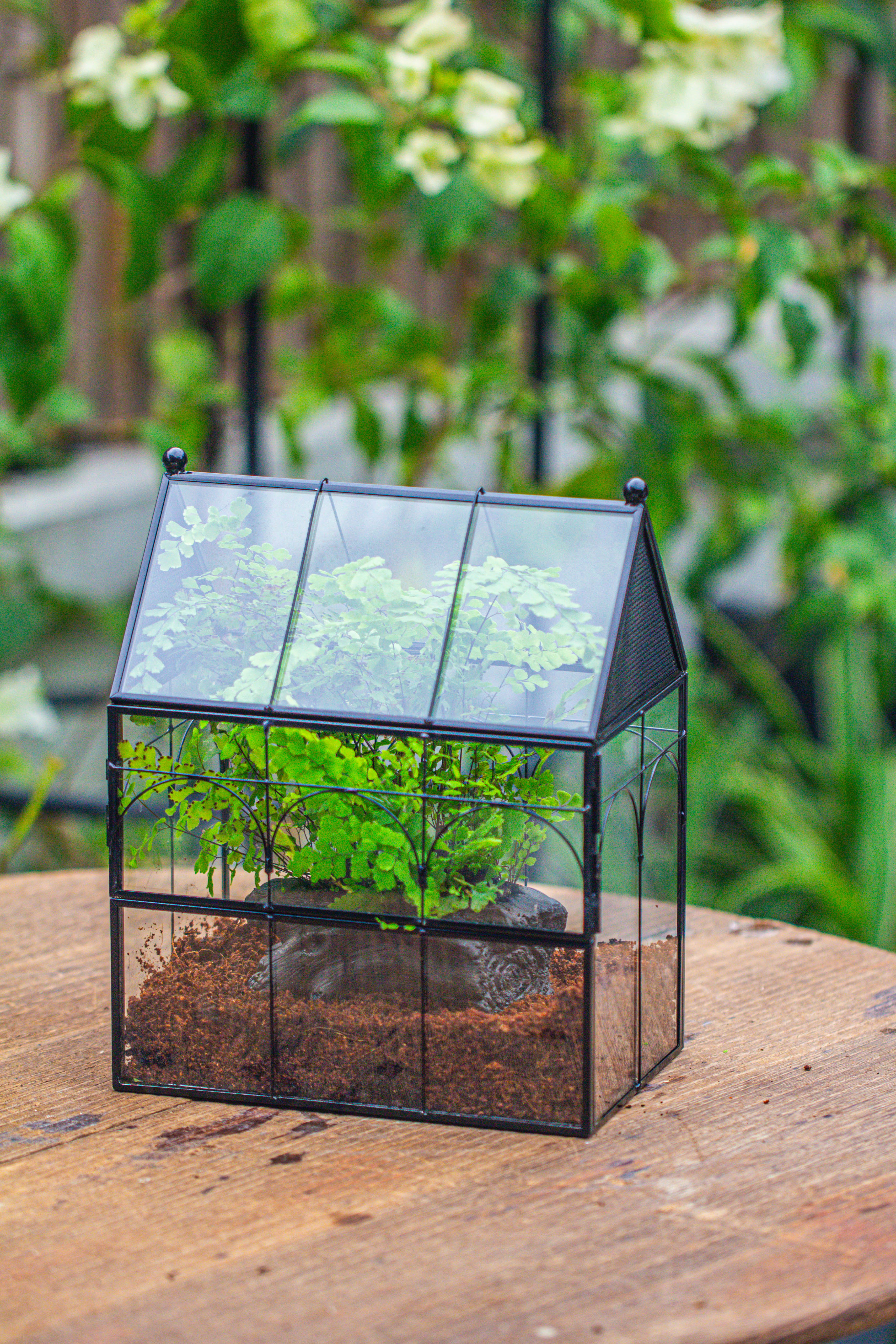 NCYP Vintage House Shape Tin and Glass Geometric Terrarium, with side door, with Mesh / vent holes for small Insects Pet building set - NCYPgarden