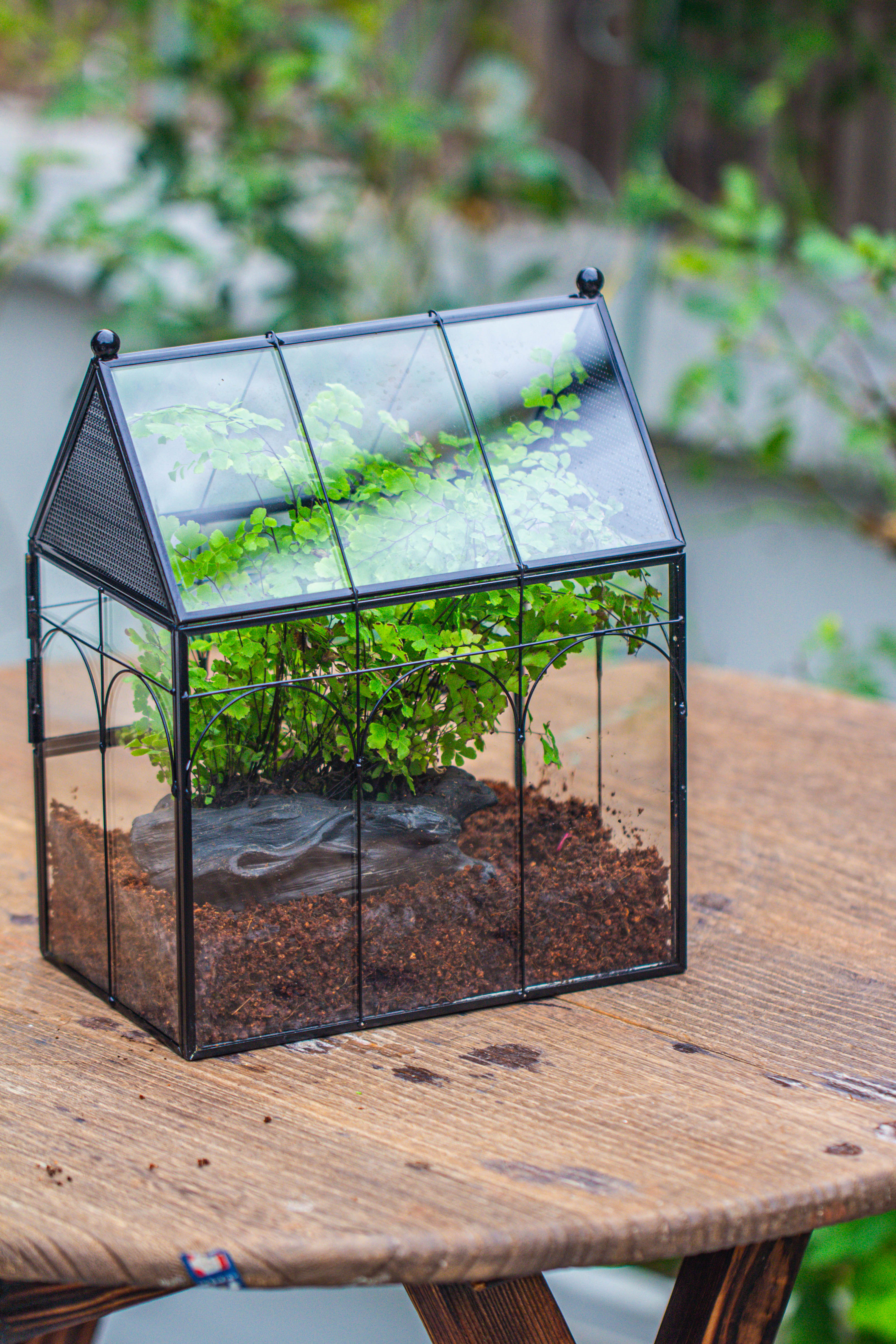 NCYP Vintage House Shape Tin and Glass Geometric Terrarium, with side door, with Mesh / vent holes for small Insects Pet building set - NCYPgarden