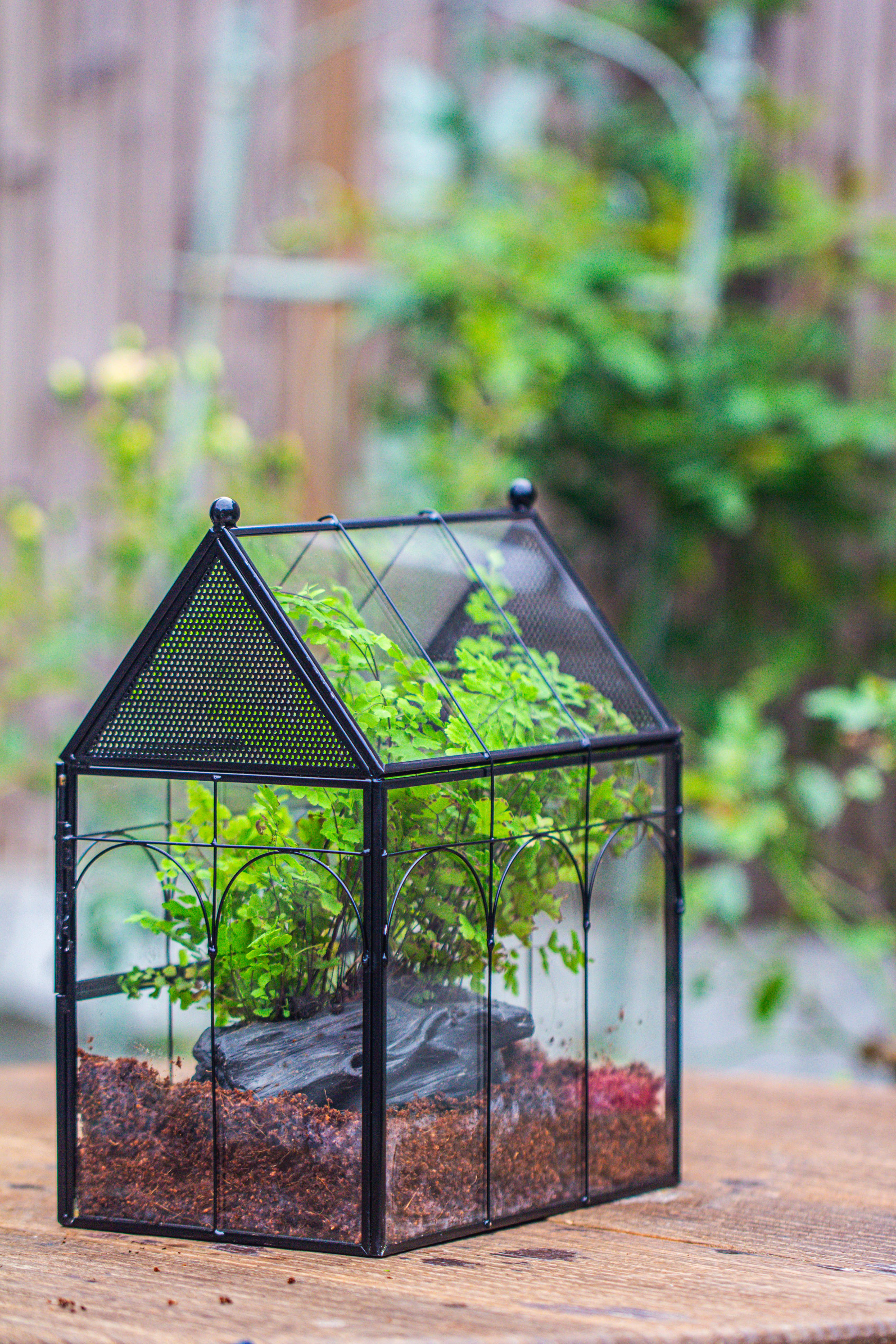 NCYP Vintage House Shape Tin and Glass Geometric Terrarium, with side door, with Mesh / vent holes for small Insects Pet building set - NCYPgarden