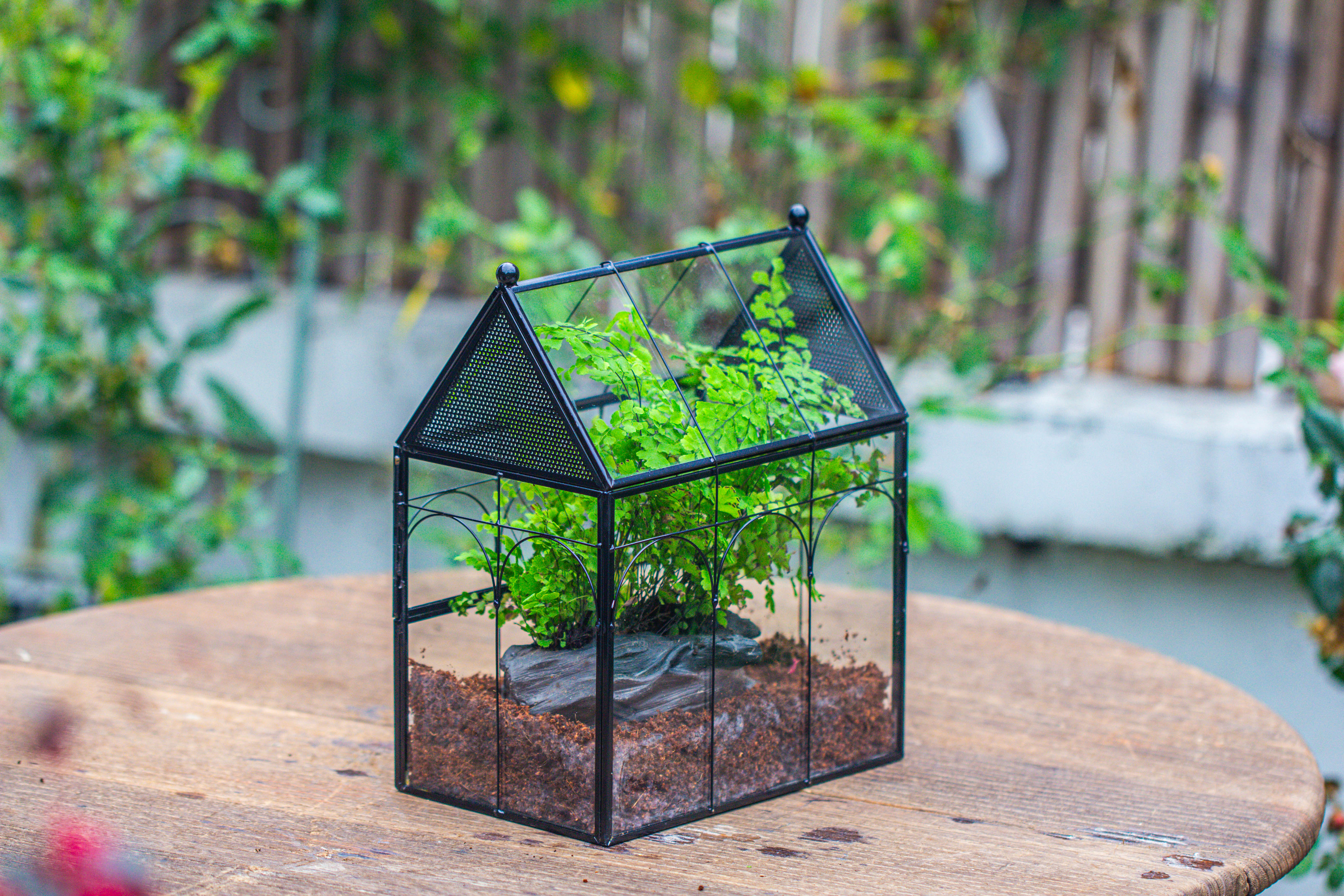 NCYP Vintage House Shape Tin and Glass Geometric Terrarium, with side door, with Mesh / vent holes for small Insects Pet building set - NCYPgarden