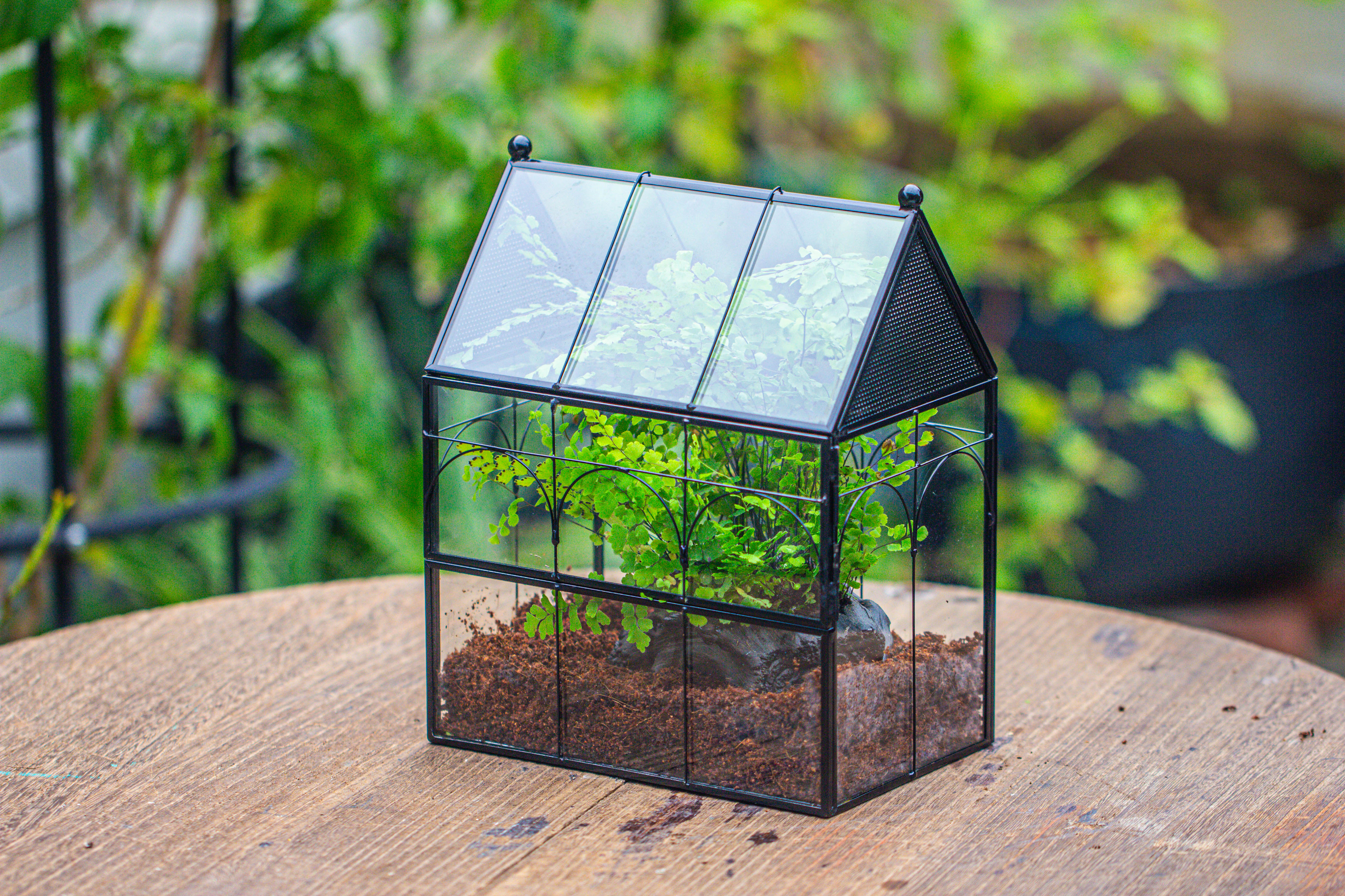 NCYP Vintage House Shape Tin and Glass Geometric Terrarium, with side door, with Mesh / vent holes for small Insects Pet building set - NCYPgarden