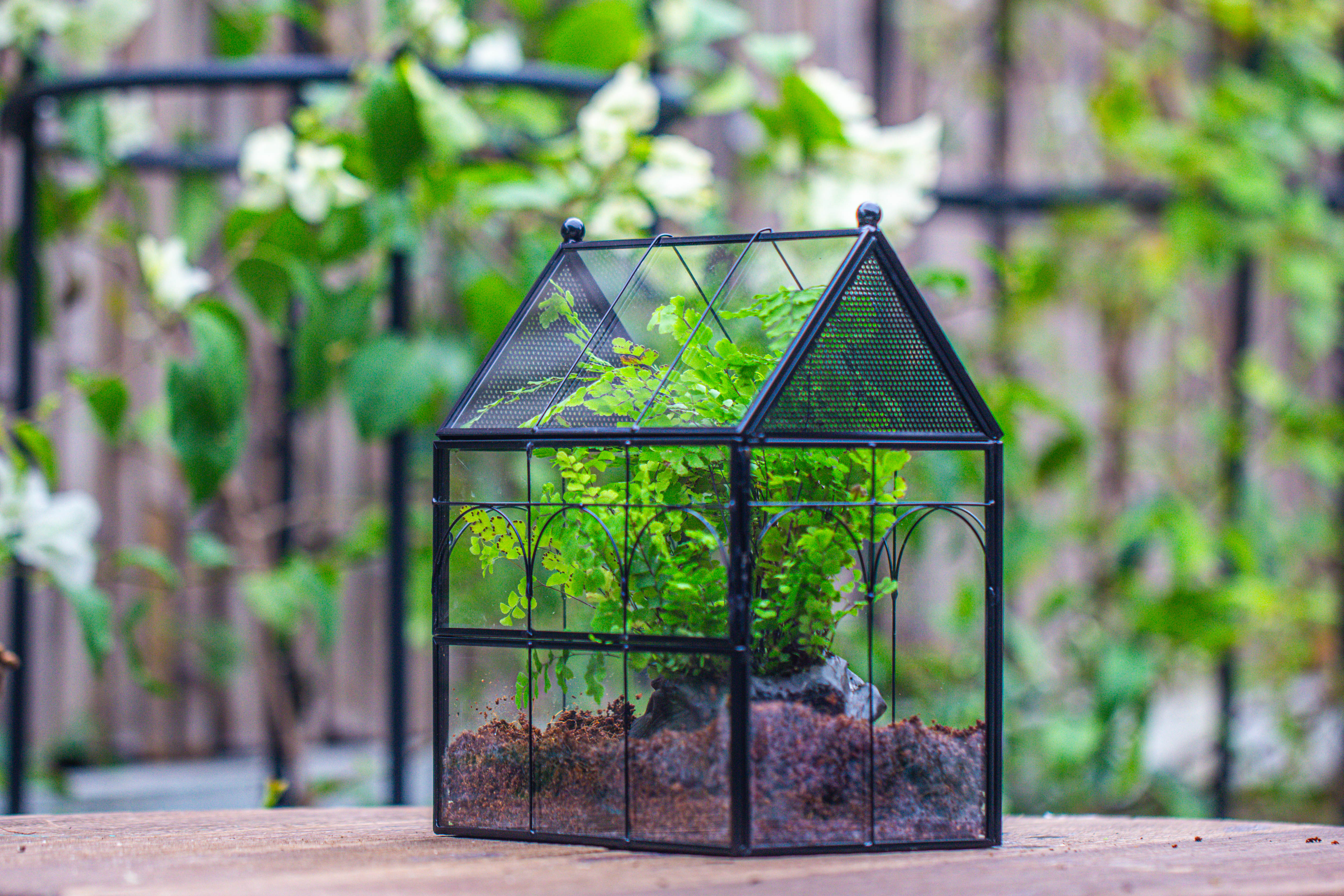 NCYP Vintage House Shape Tin and Glass Geometric Terrarium, with side door, with Mesh / vent holes for small Insects Pet building set - NCYPgarden