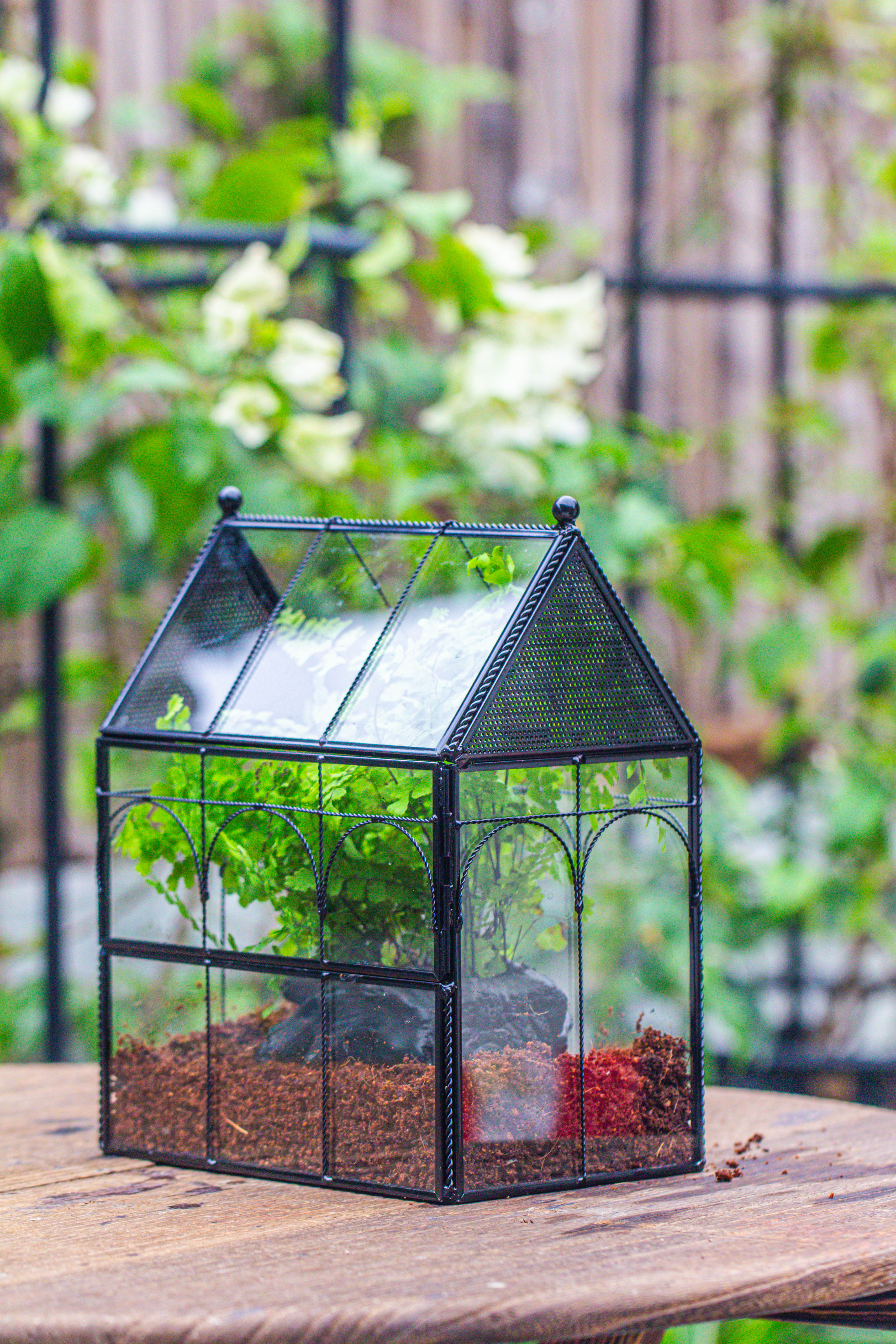 Handmade Twisted Wire House Shape Glass Geometric Terrarium with LED Light Set, Snail Jumping Spider Enclosure, Insect Container Set - NCYPgarden