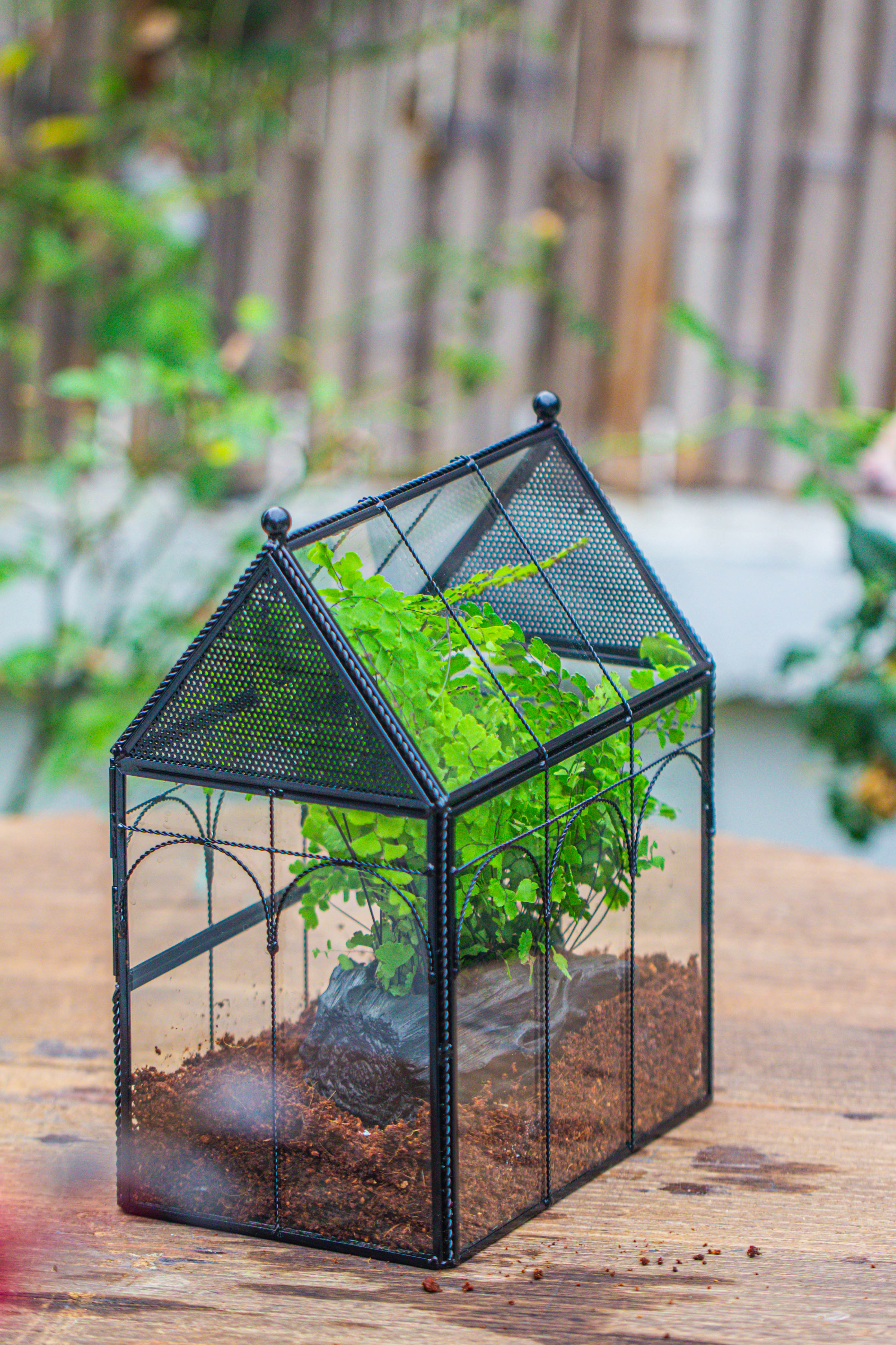 Handmade Twisted Wire House Shape Glass Geometric Terrarium with LED Light Set, Snail Jumping Spider Enclosure, Insect Container Set - NCYPgarden