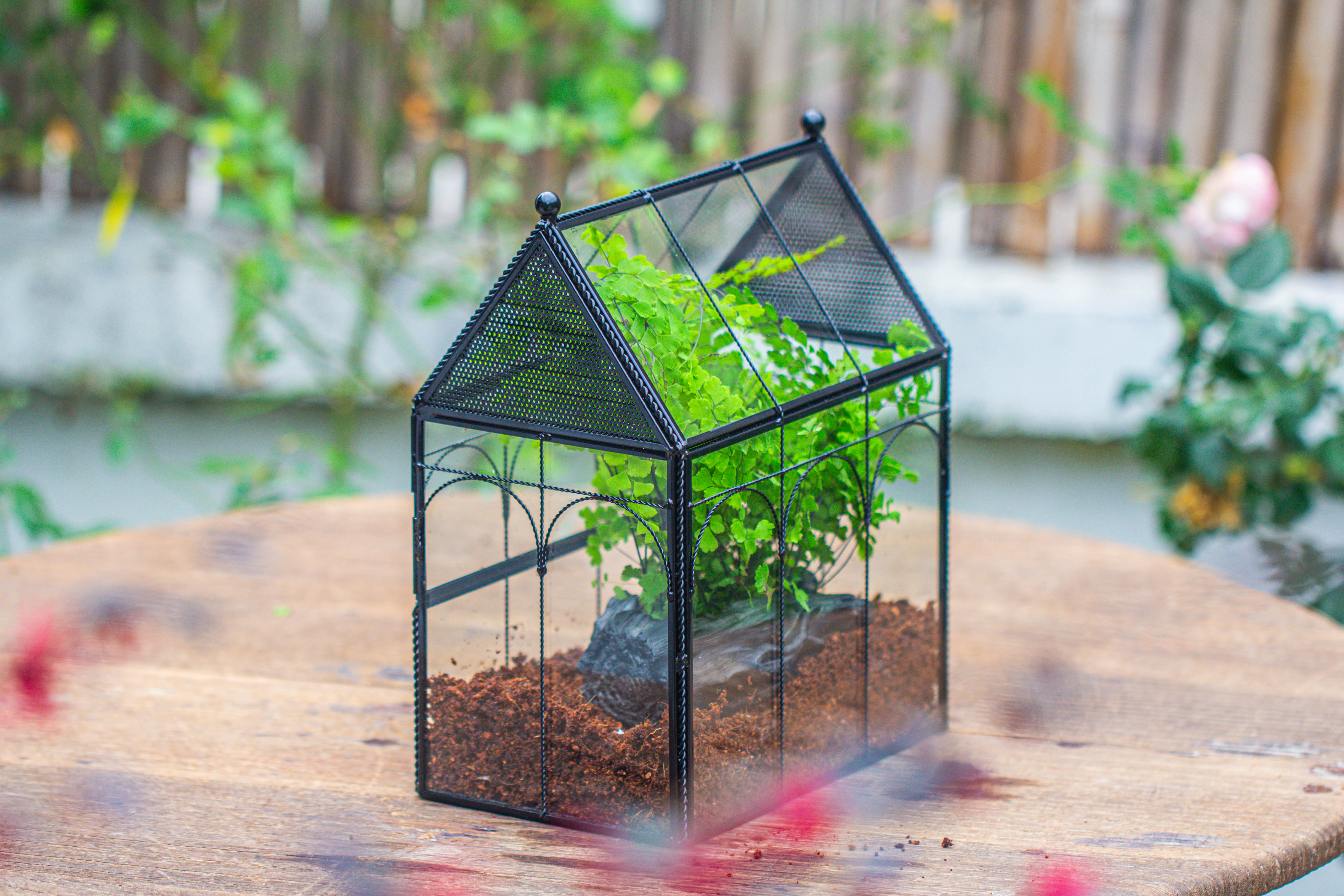 Handmade Twisted Wire House Shape Glass Geometric Terrarium with LED Light Set, Snail Jumping Spider Enclosure, Insect Container Set - NCYPgarden