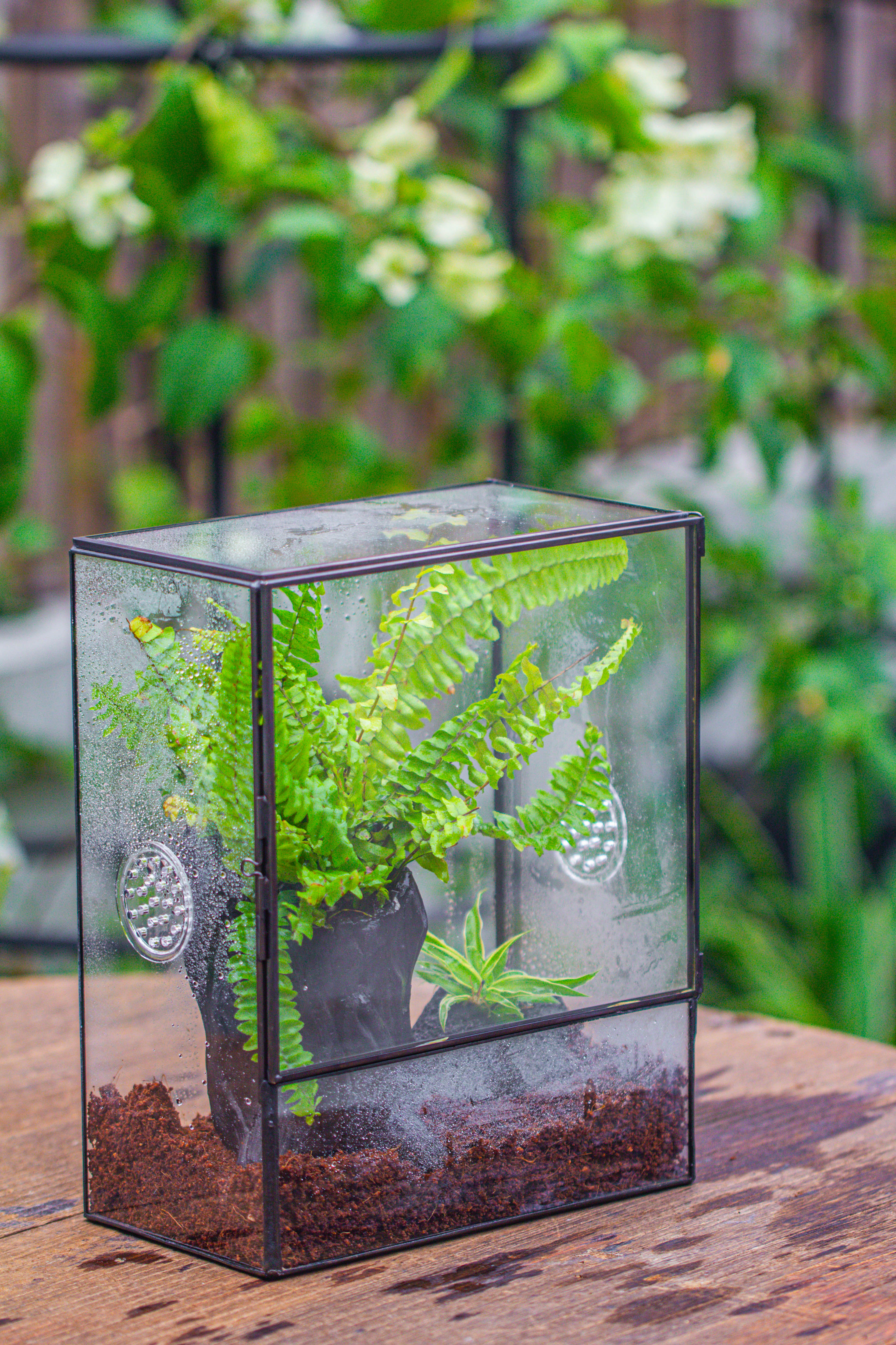 竖版长方形 三孔 大号 - NCYPgarden