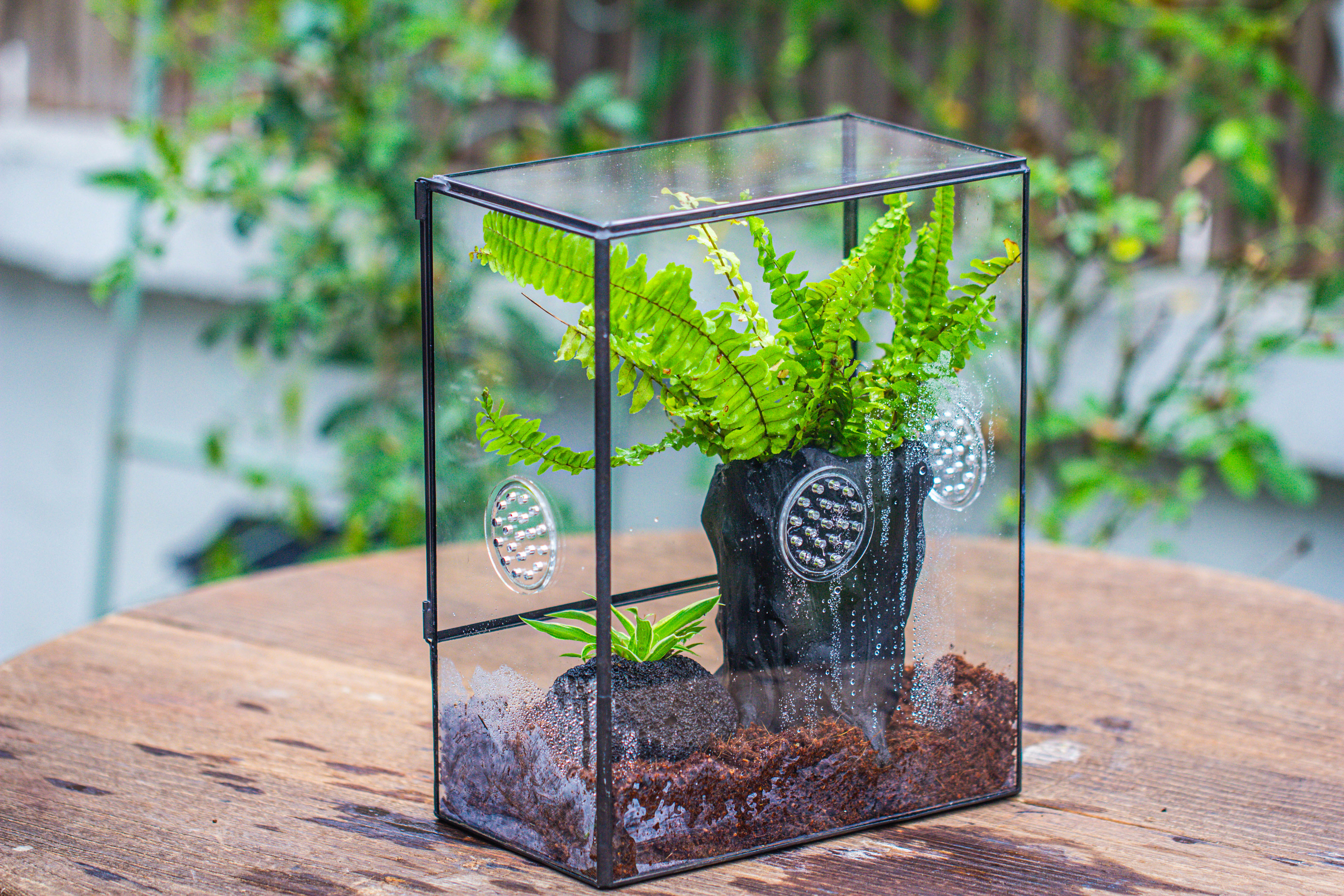 Handmade Close Glass Terrarium with Vents, with LED Grow Light Set, FOR insects, bugs - NCYPgarden