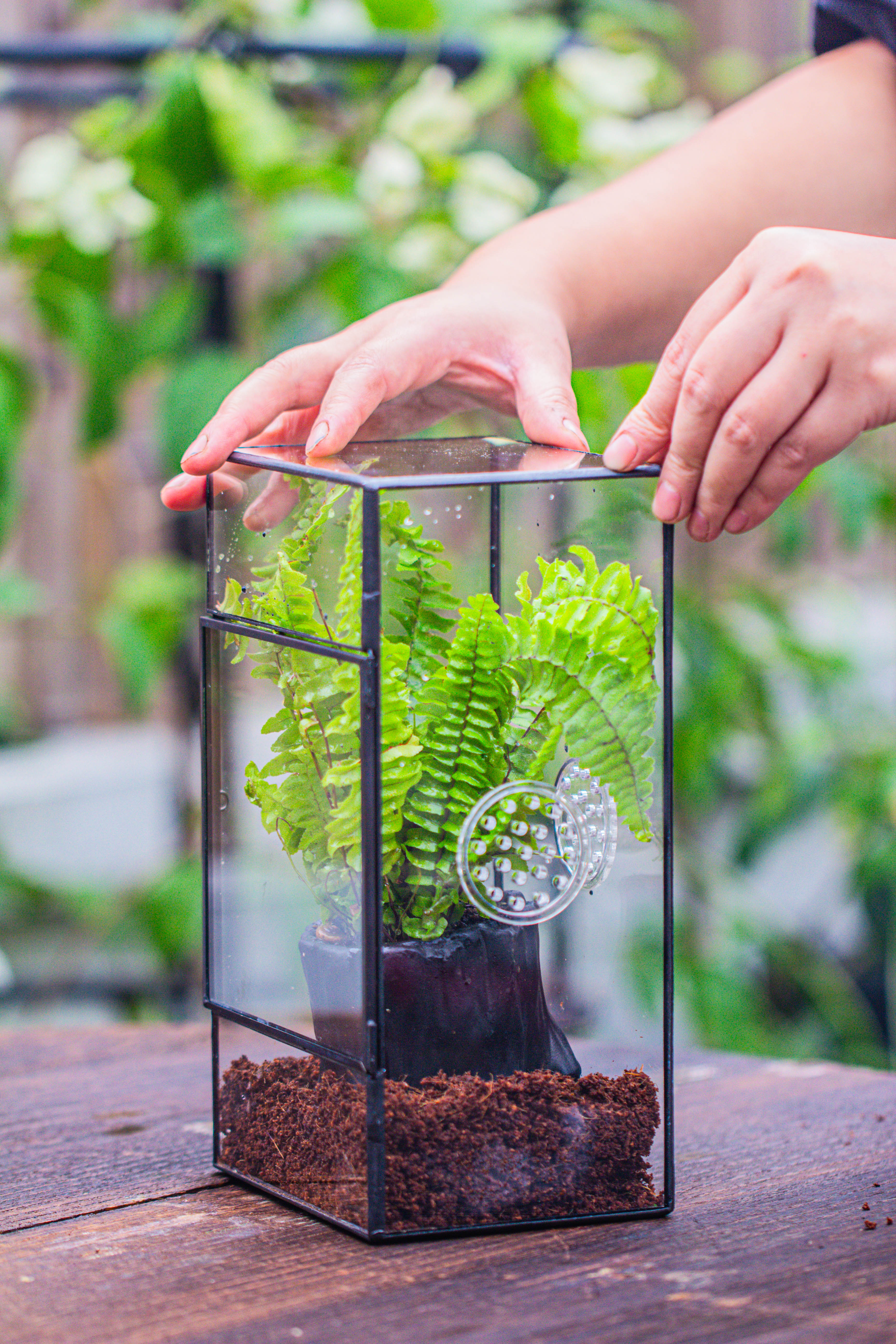 竖版长方形 三孔 小号 - NCYPgarden