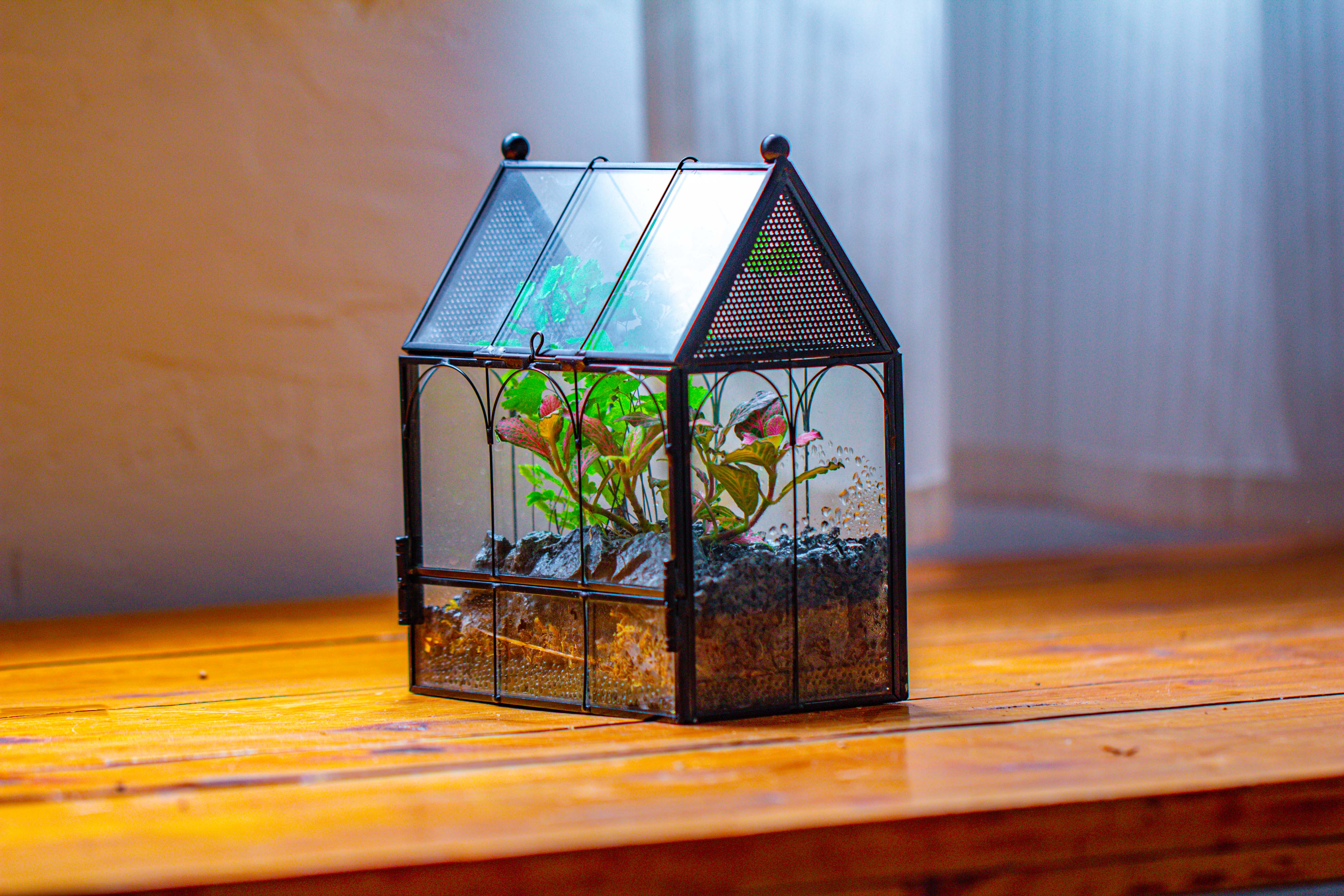 Vintage Mini House Shape Glass Geometric Terrarium for Jumping spider - NCYPgarden