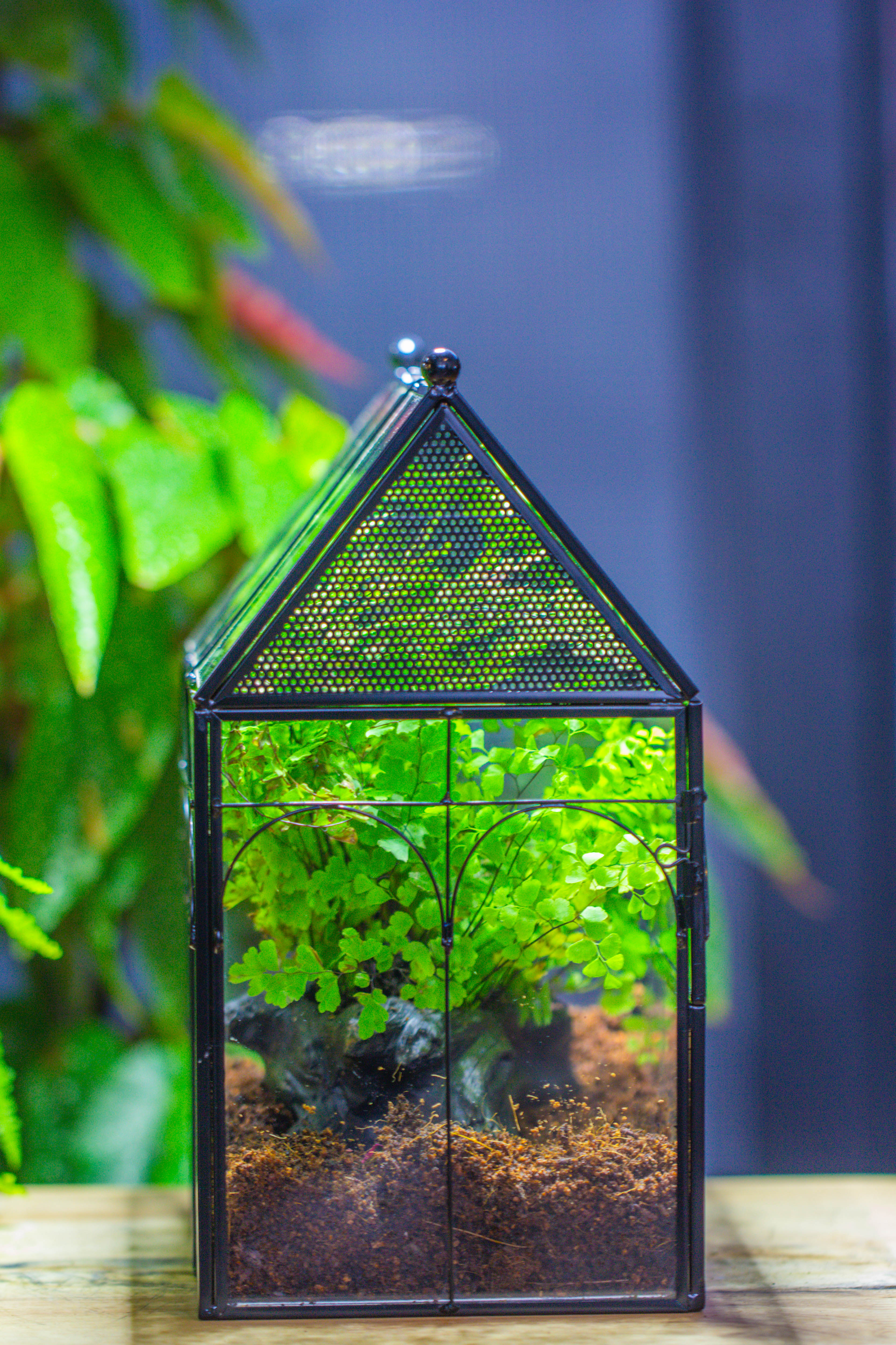 NCYP Vintage House Shape Tin and Glass Geometric Terrarium, with side door, with Mesh / vent holes for small Insects Pet building set - NCYPgarden