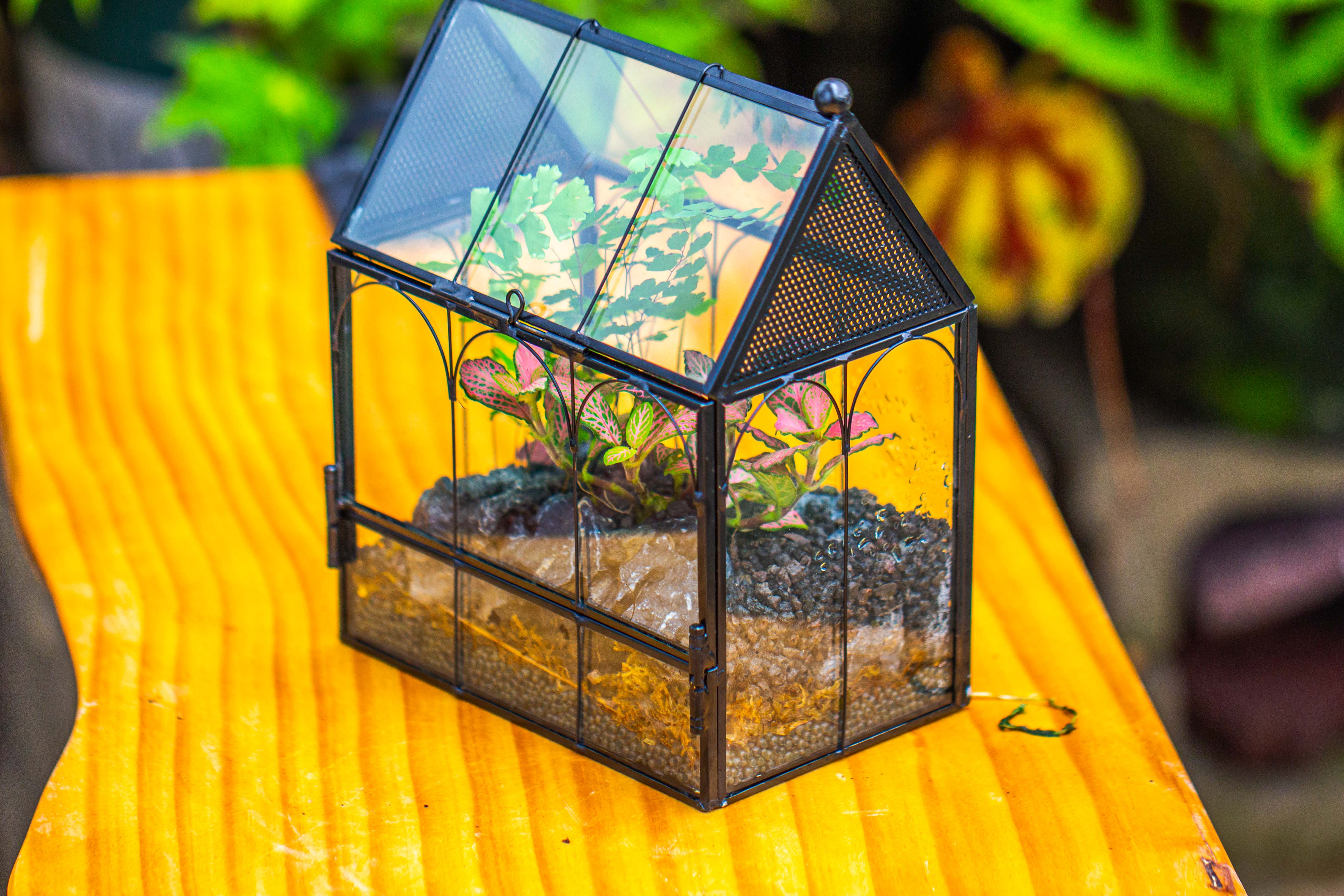 Vintage Mini House Shape Glass Geometric Terrarium for Jumping spider - NCYPgarden