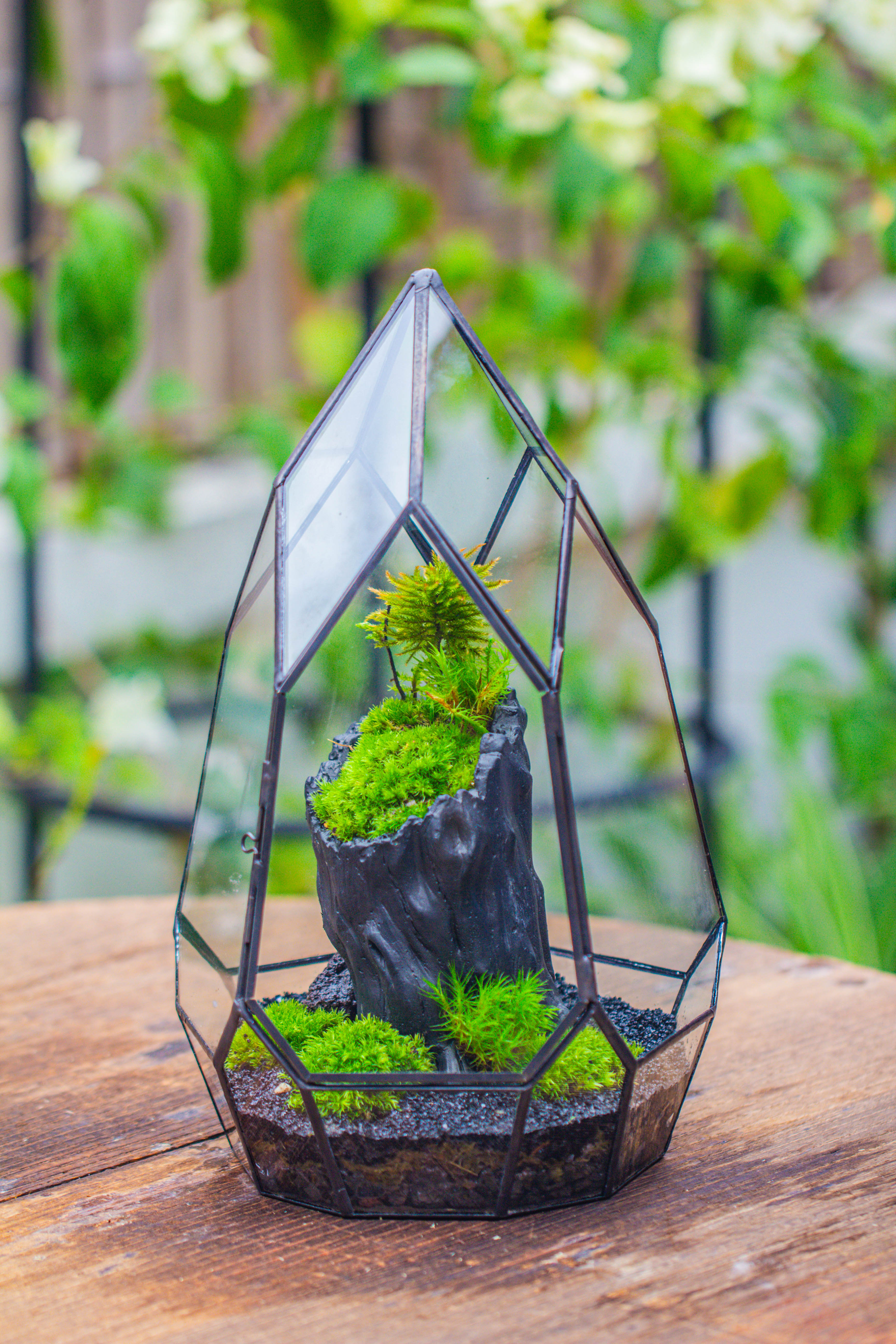 NCYP Irregular Close Geometric Glass Terrarium with door Tall Teardrop Container Moss Terrarium DIY Building Kit - NCYPgarden