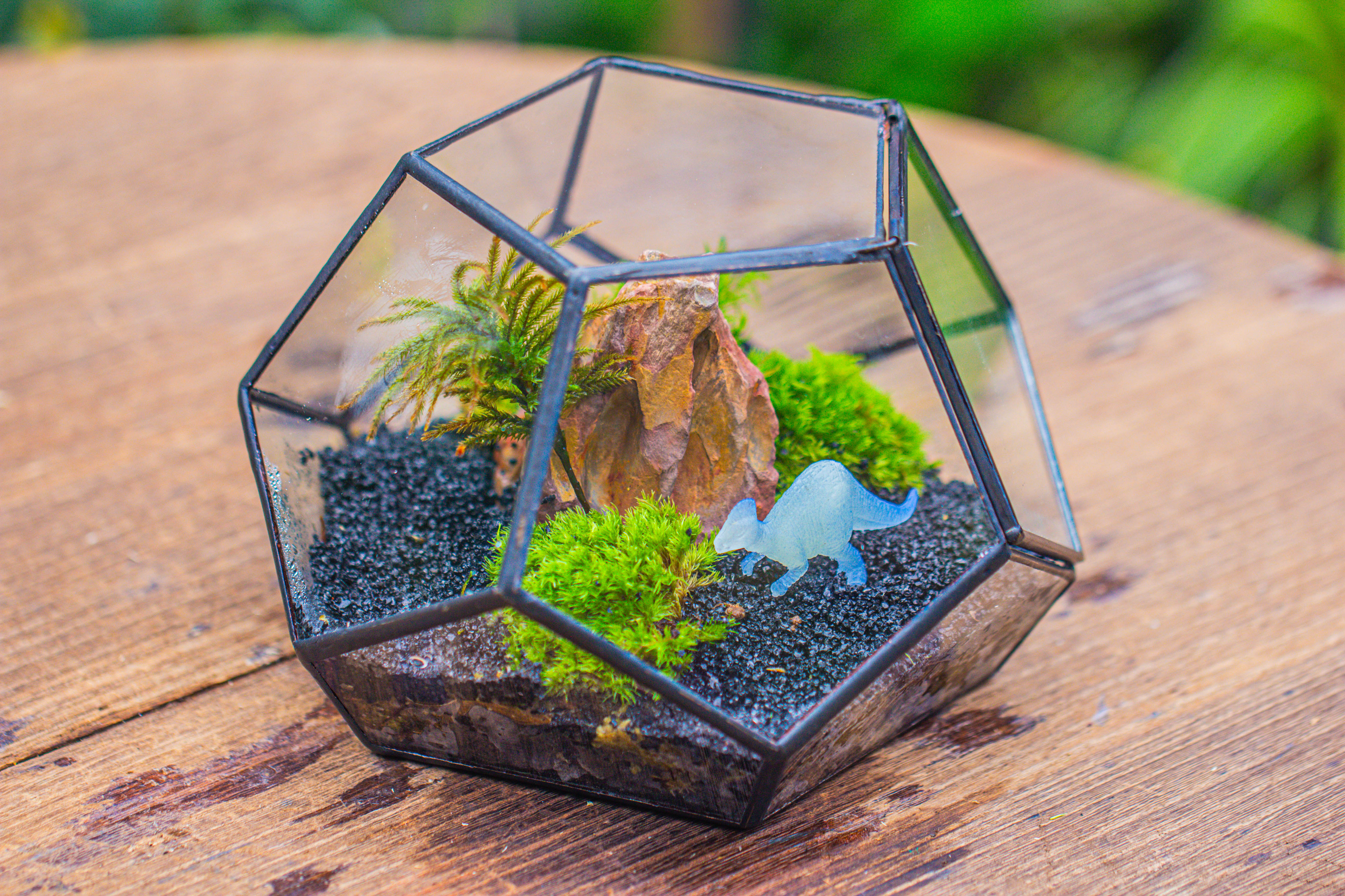 handmade geometric half ball, pentagon, close terrarium, with door for moss - NCYPgarden
