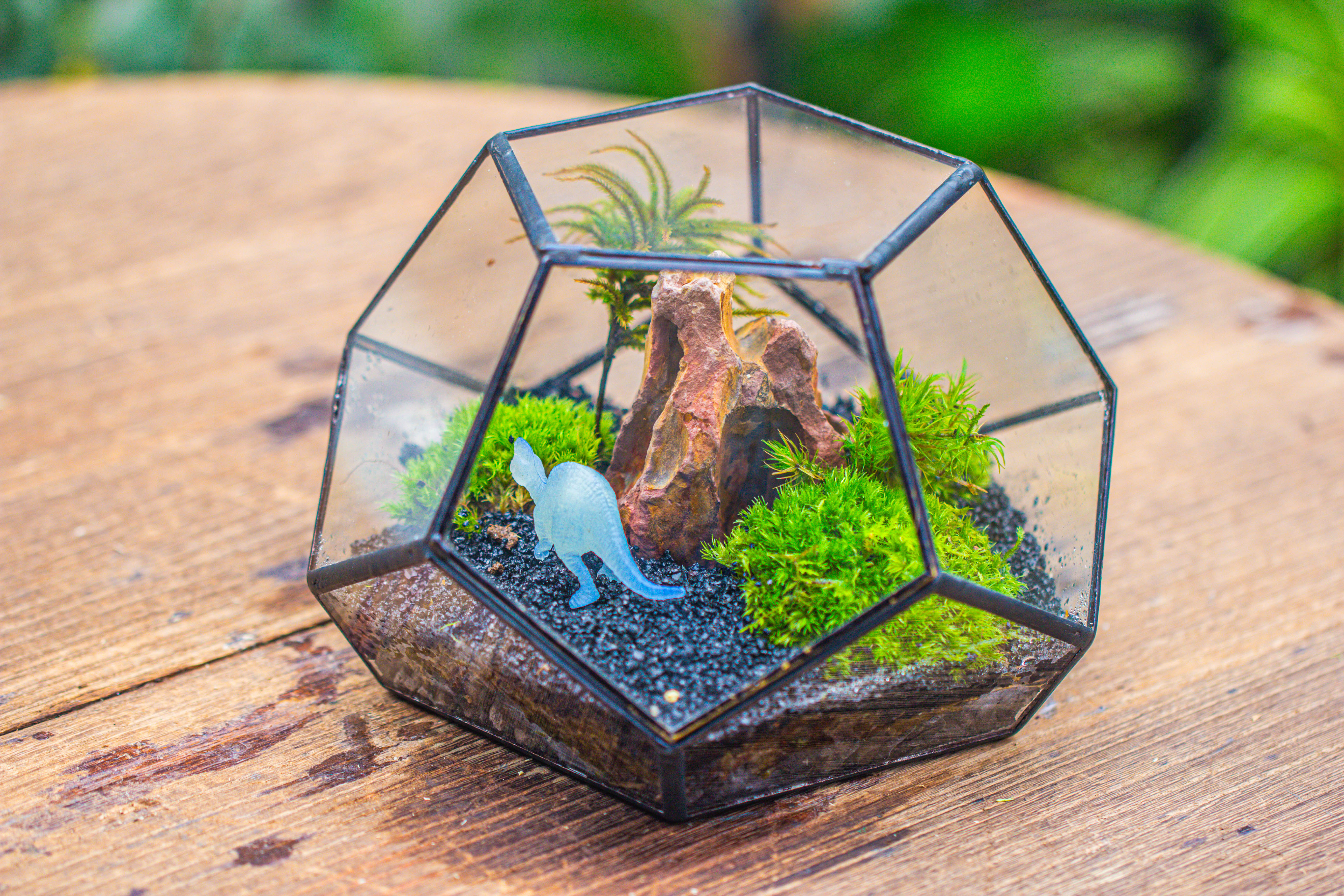 handmade geometric half ball, pentagon, close terrarium, with door for moss - NCYPgarden