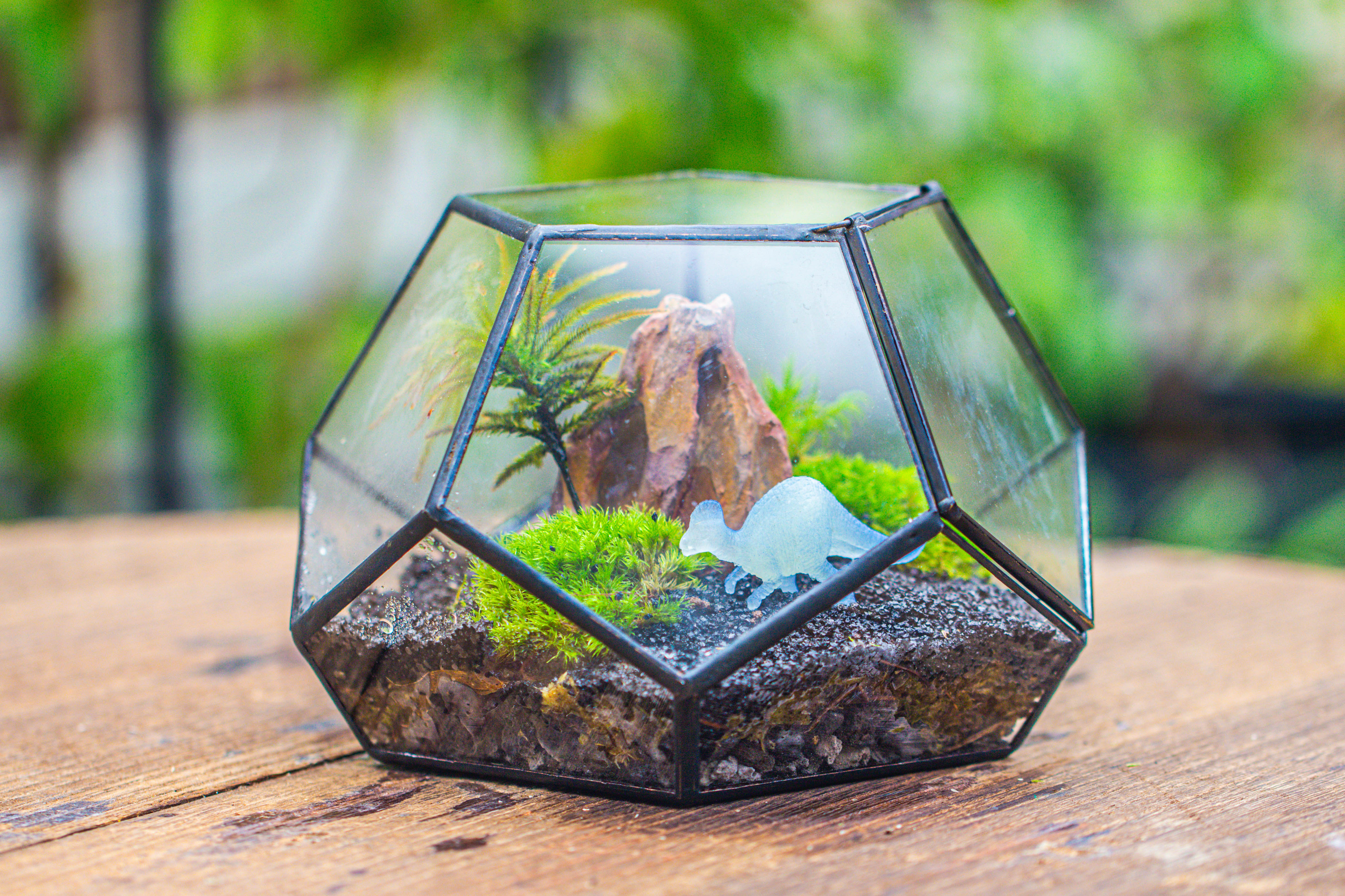 handmade geometric half ball, pentagon, close terrarium, with door for moss - NCYPgarden