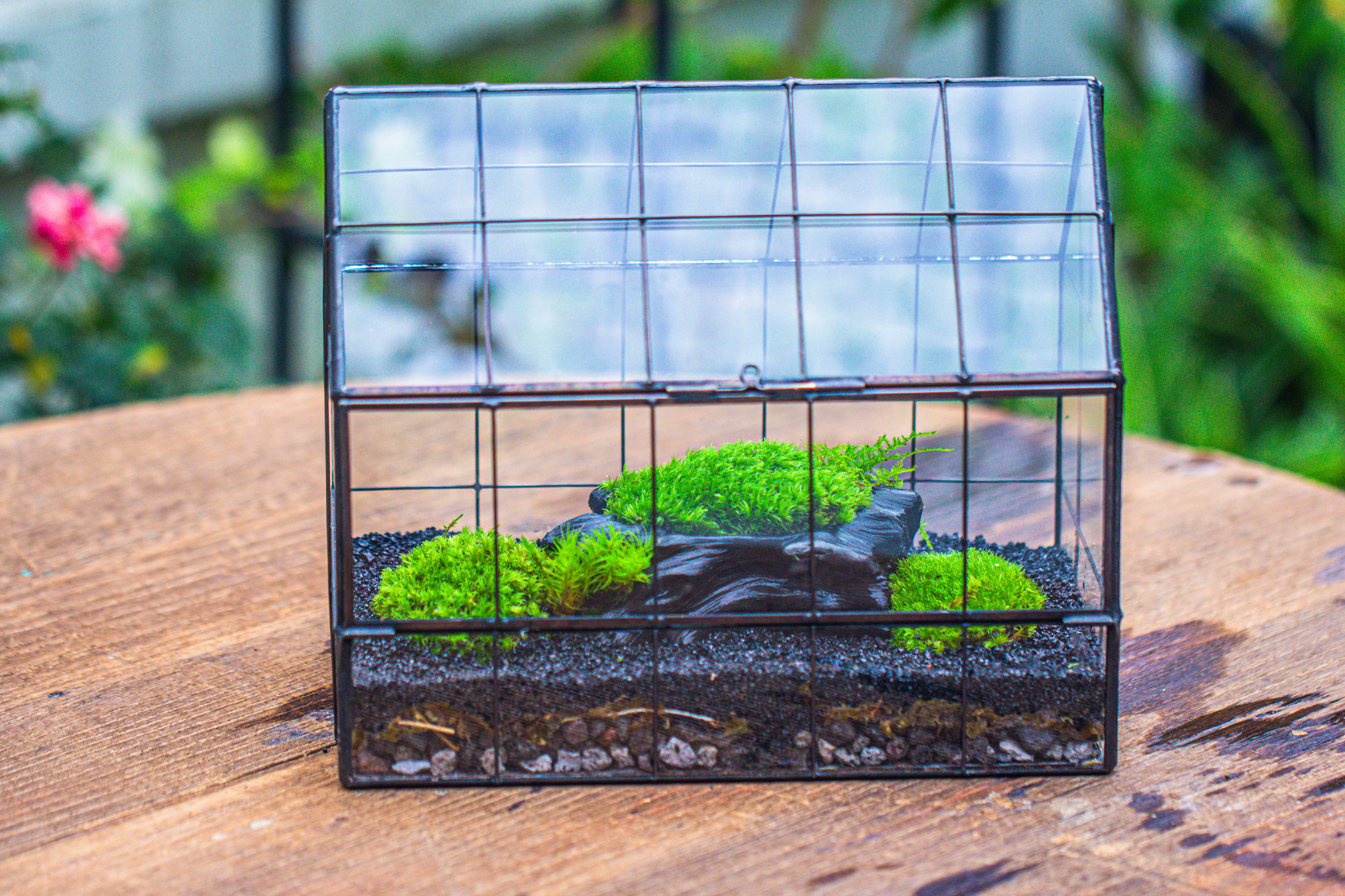 Handmade Glass Terrarium with LED Grow Light Set, Side Door Closed Geometric GreenHouse with Base and Light Set - NCYPgarden