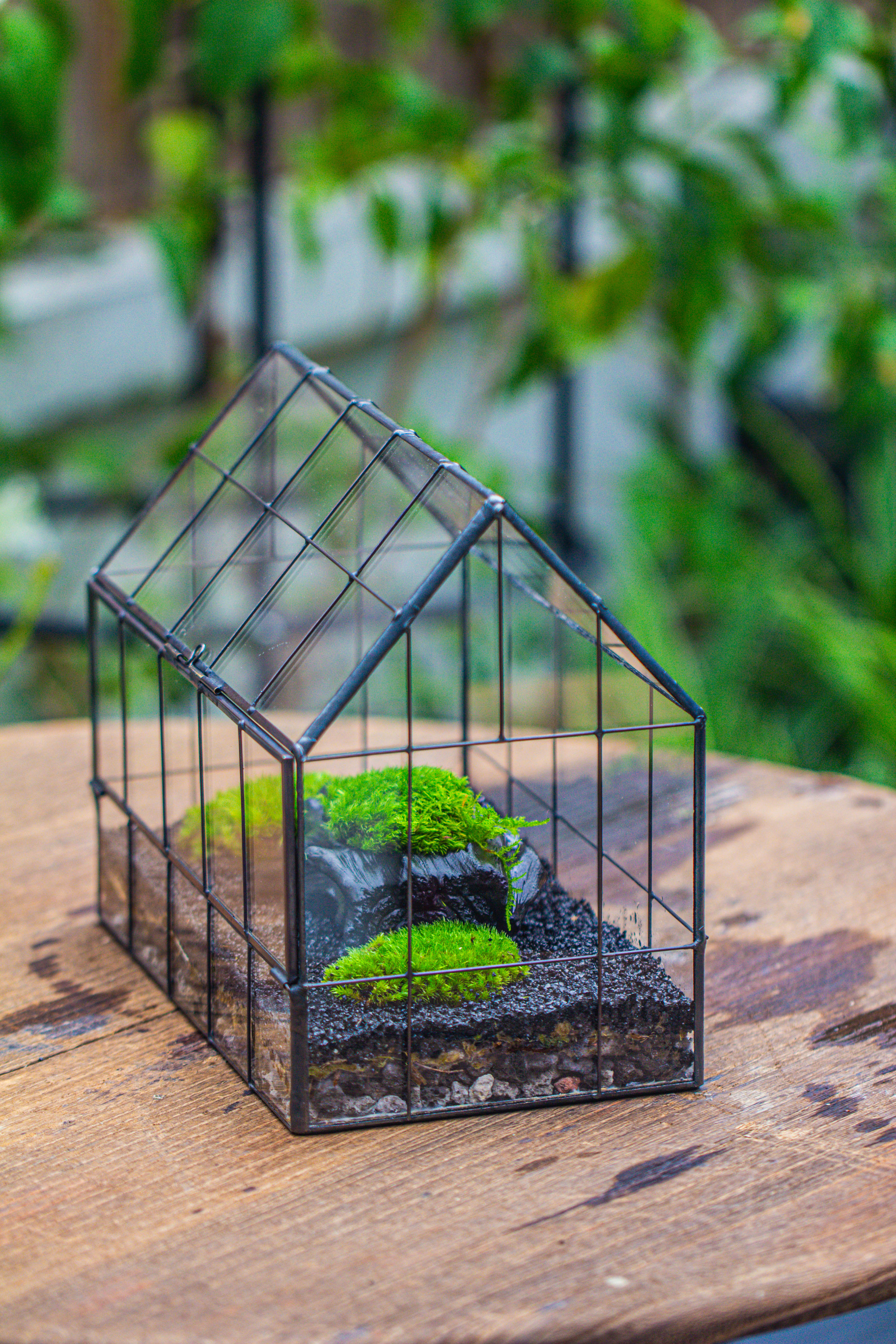 Handmade Glass Terrarium with LED Grow Light Set, Side Door Closed Geometric GreenHouse with Base and Light Set - NCYPgarden