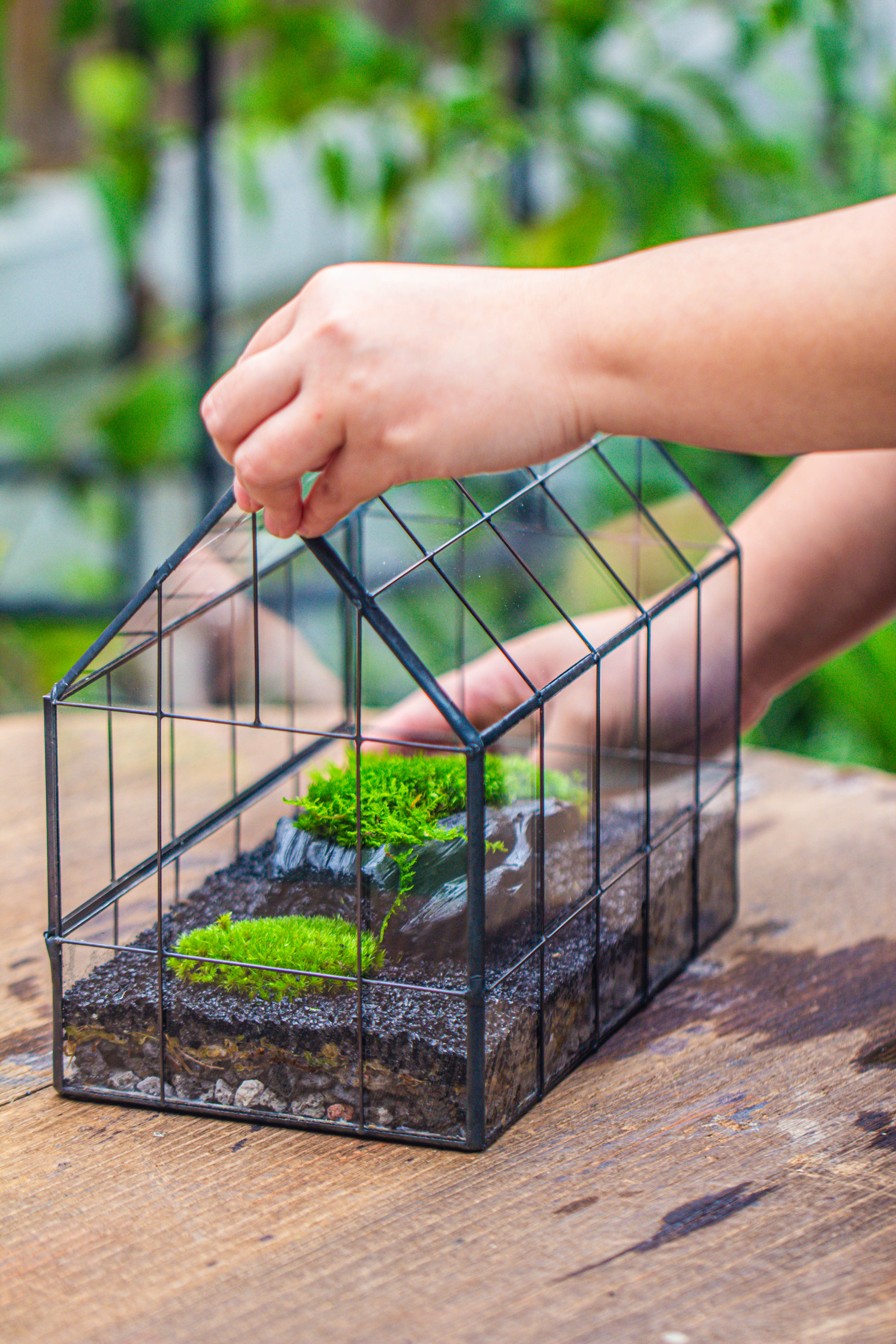 Handmade Glass Terrarium with LED Grow Light Set, Side Door Closed Geometric GreenHouse with Base and Light Set - NCYPgarden