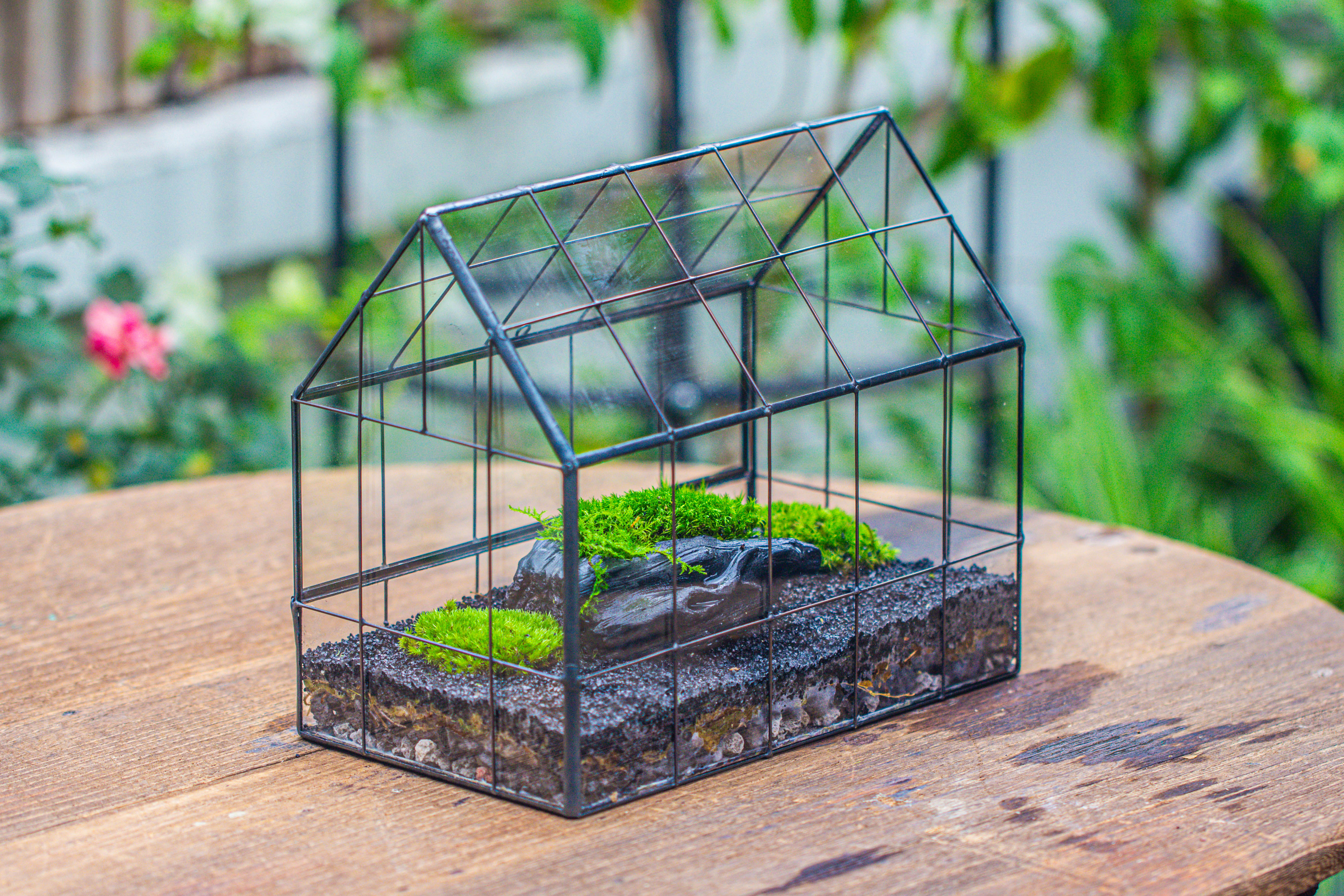 Handmade Glass Terrarium with LED Grow Light Set, Side Door Closed Geometric GreenHouse with Base and Light Set - NCYPgarden