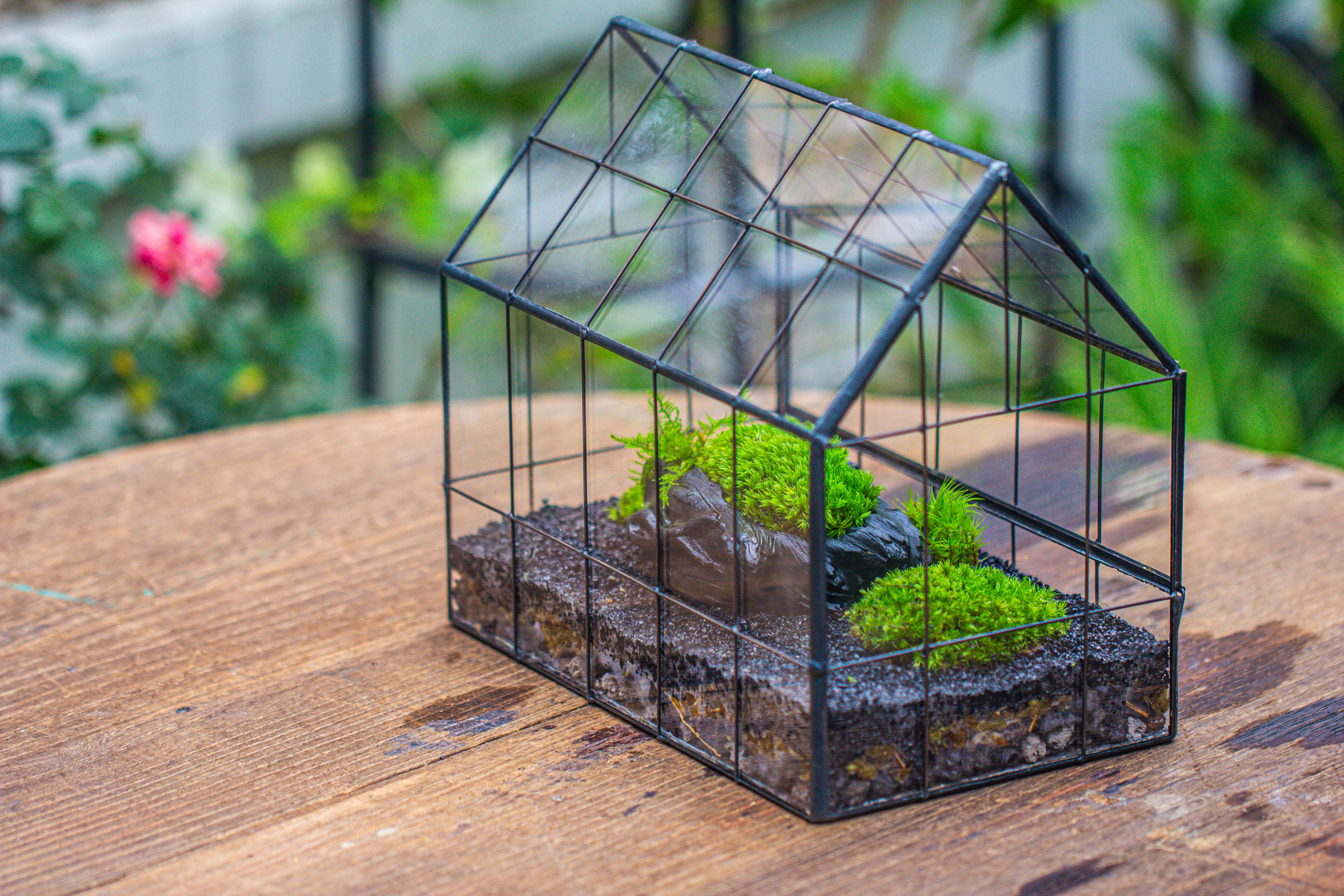 Handmade Glass Terrarium with LED Grow Light Set, Side Door Closed Geometric GreenHouse with Base and Light Set - NCYPgarden