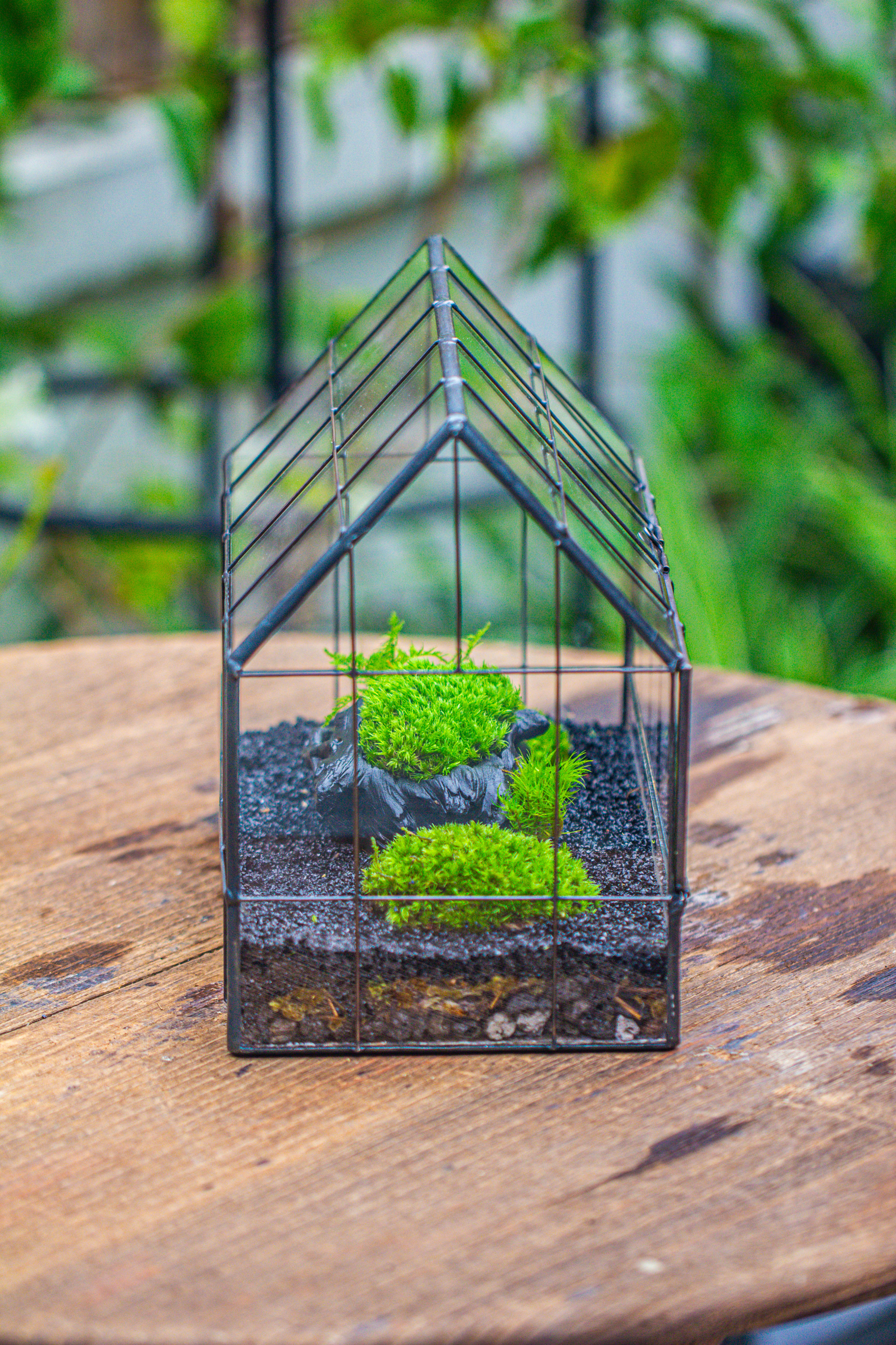 Handmade Glass Terrarium with LED Grow Light Set, Side Door Closed Geometric GreenHouse with Base and Light Set - NCYPgarden