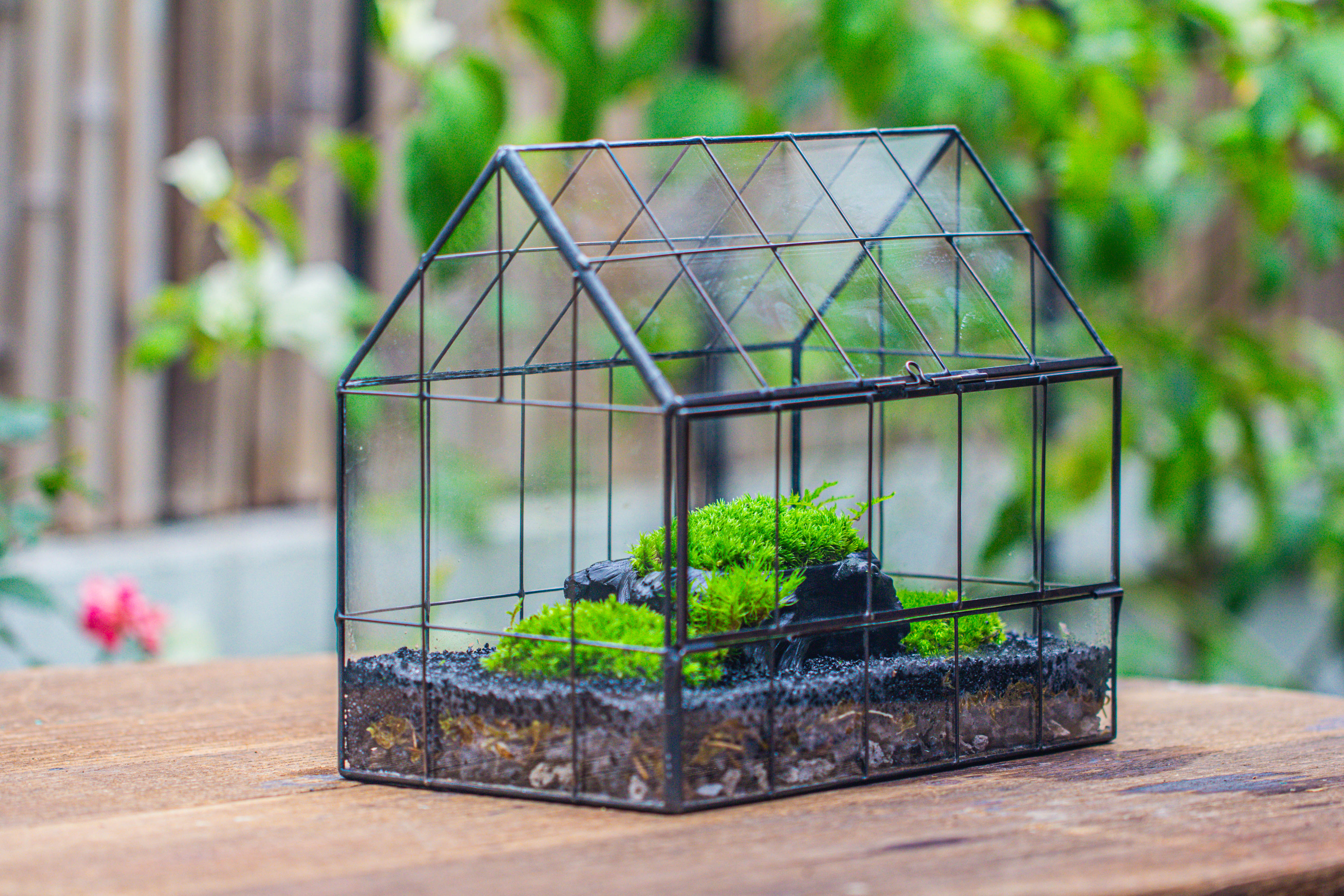 Handmade Glass Terrarium with LED Grow Light Set, Side Door Closed Geometric GreenHouse with Base and Light Set - NCYPgarden