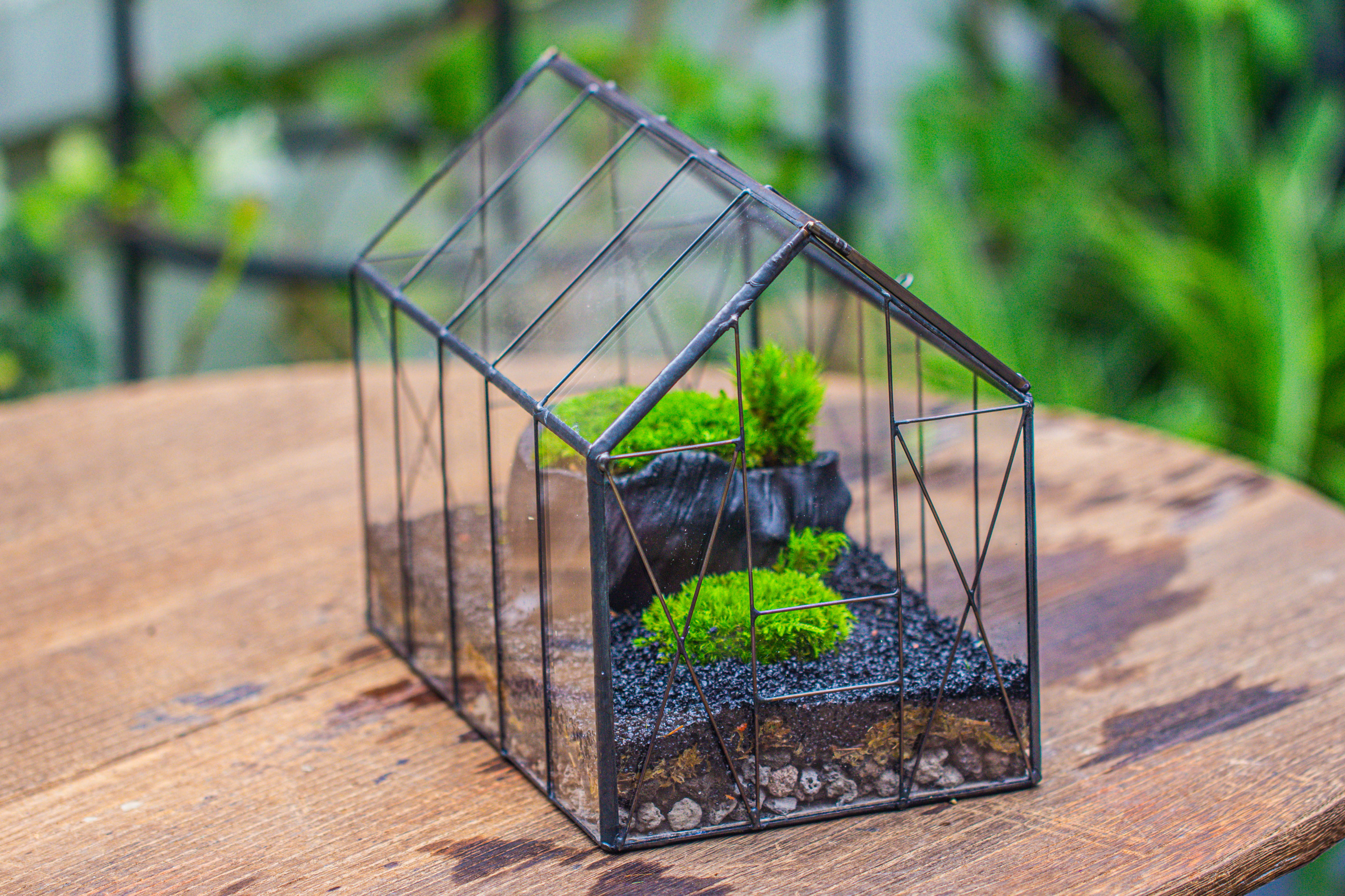 房子上开门 谷仓 黑树桩 - NCYPgarden