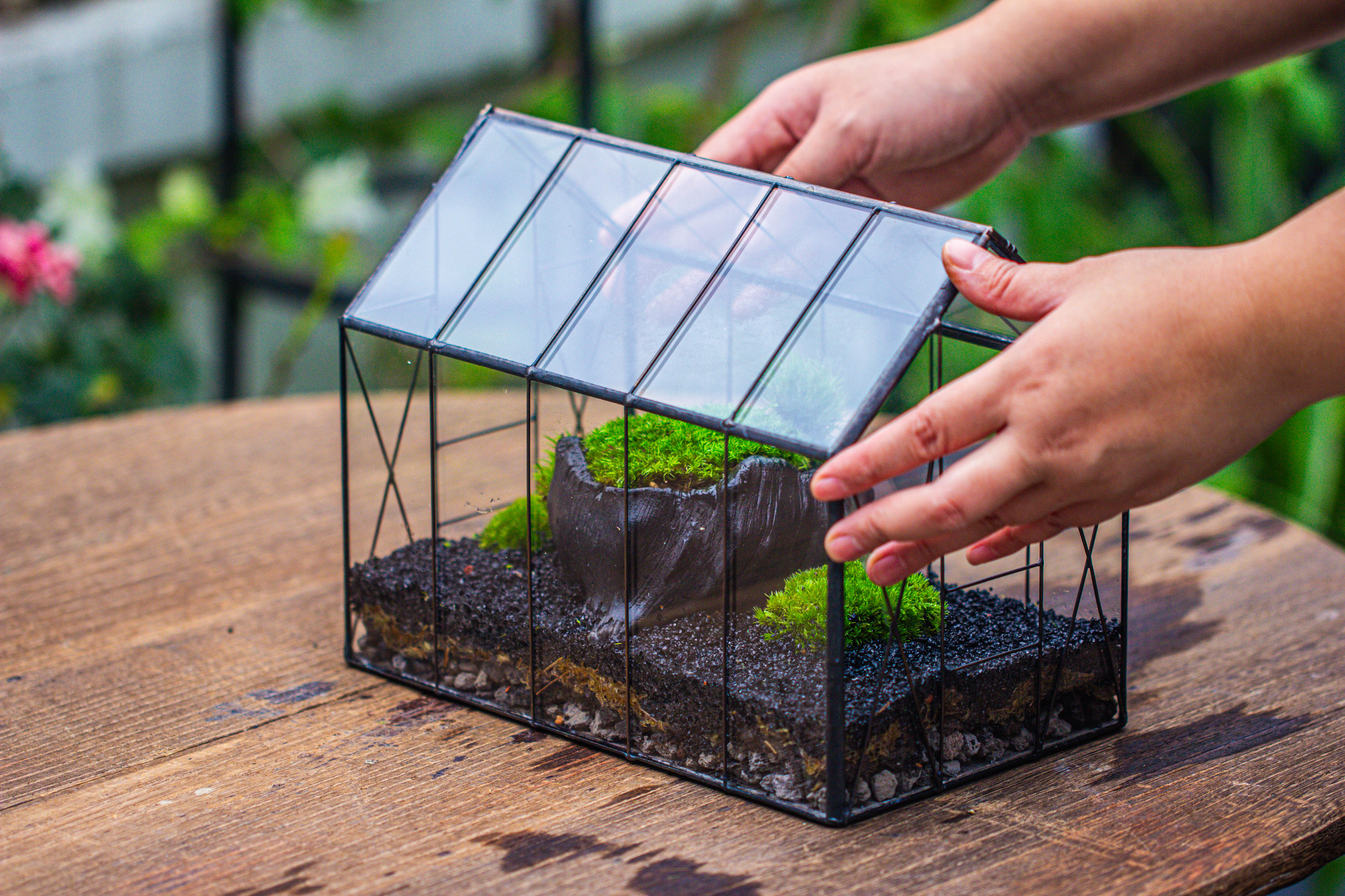Handmade Vintage Greenhouse Inspired Tin Terrarium with LED Grow Light Set, Closed Glass Planter Set - NCYPgarden
