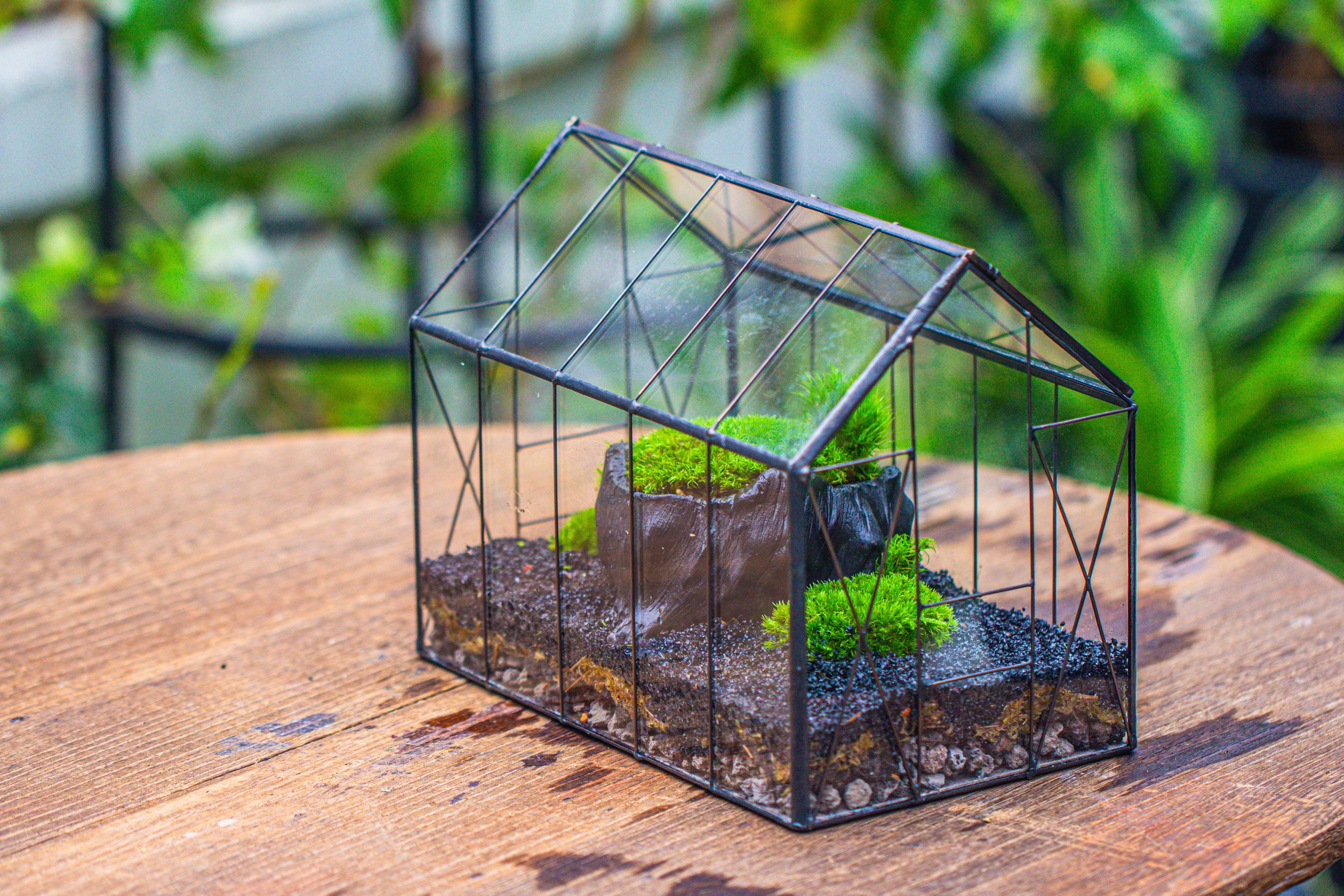 房子上开门 谷仓 黑树桩 - NCYPgarden