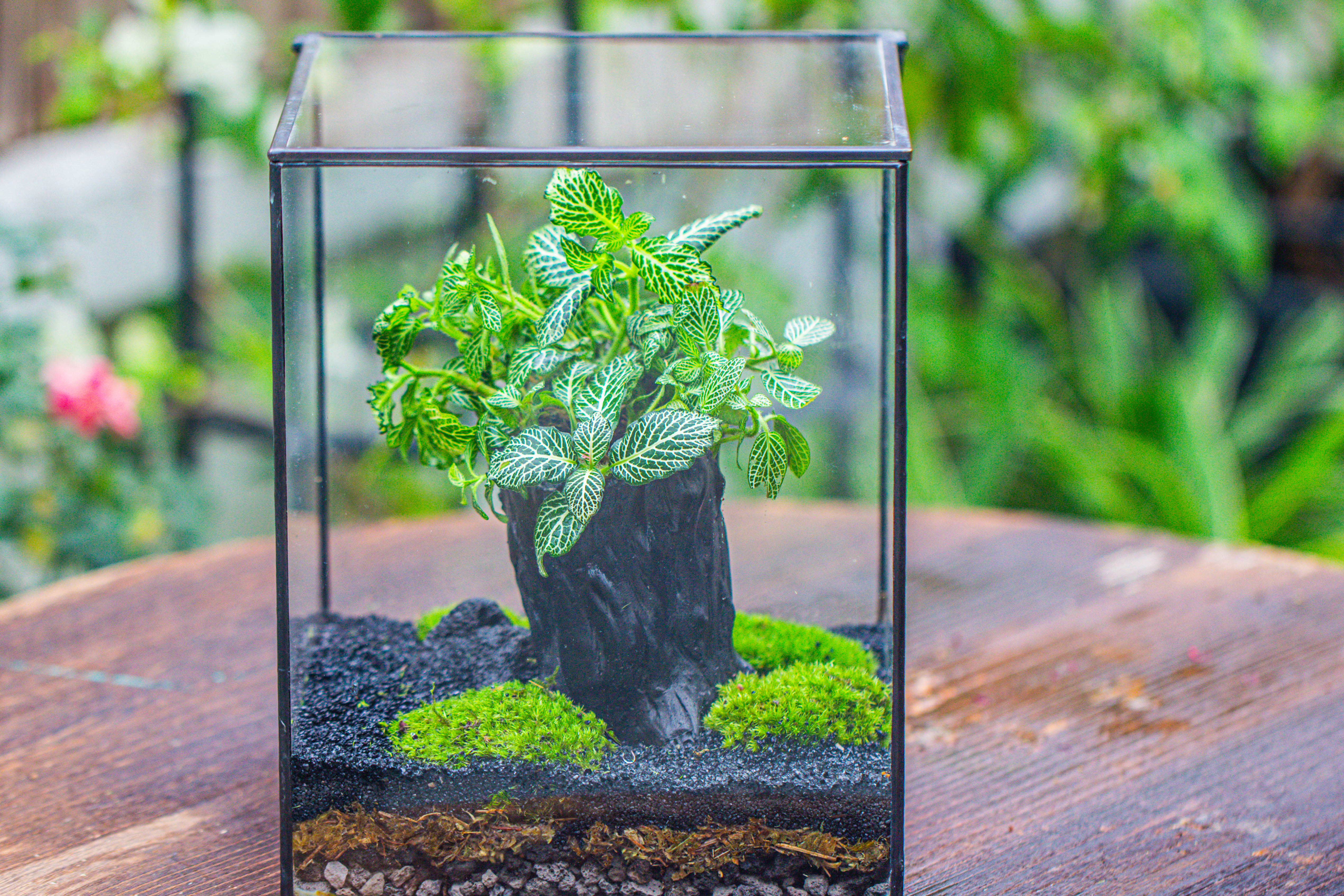 竖版大长方形 上开盖 - NCYPgarden