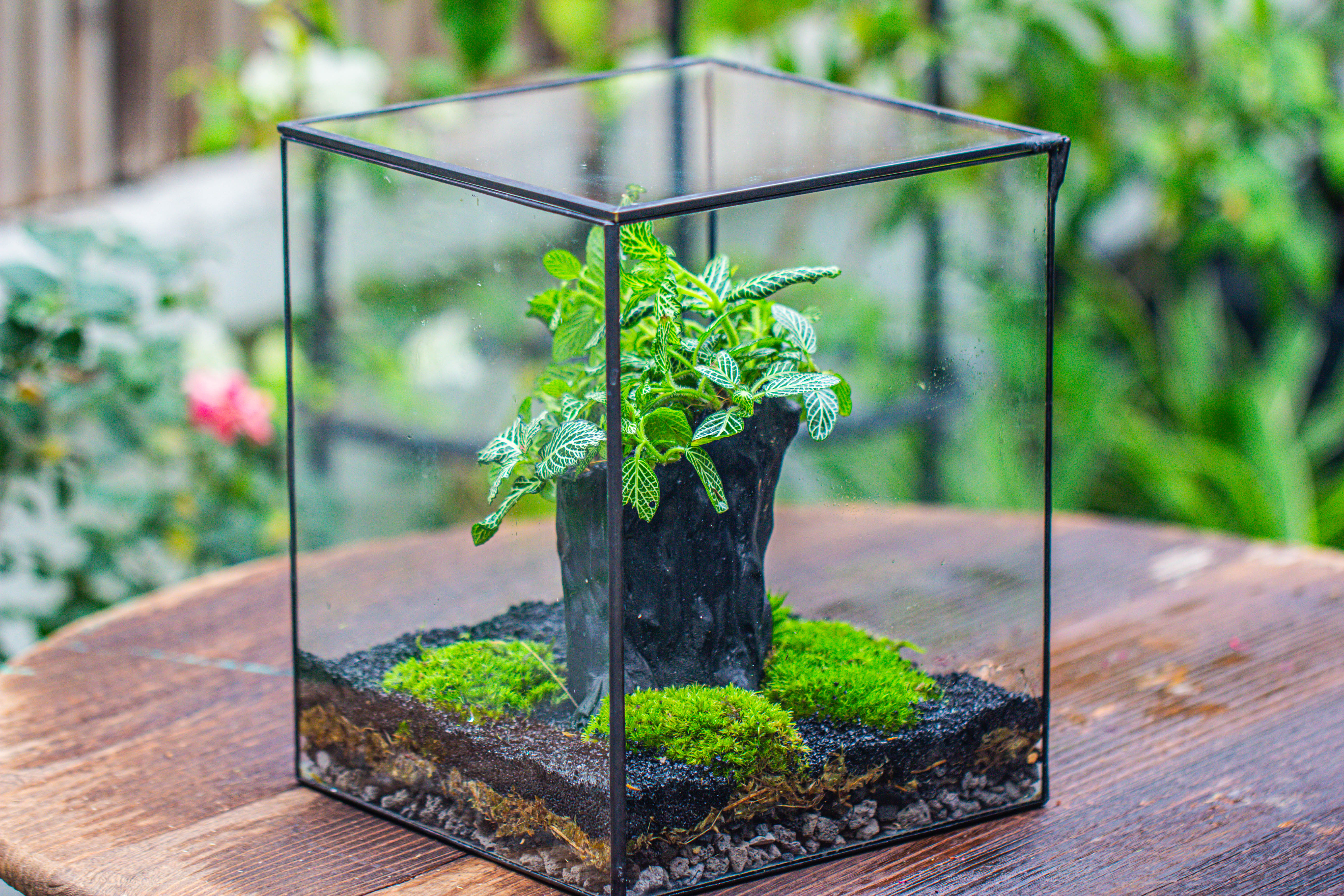 竖版大长方形 上开盖 - NCYPgarden