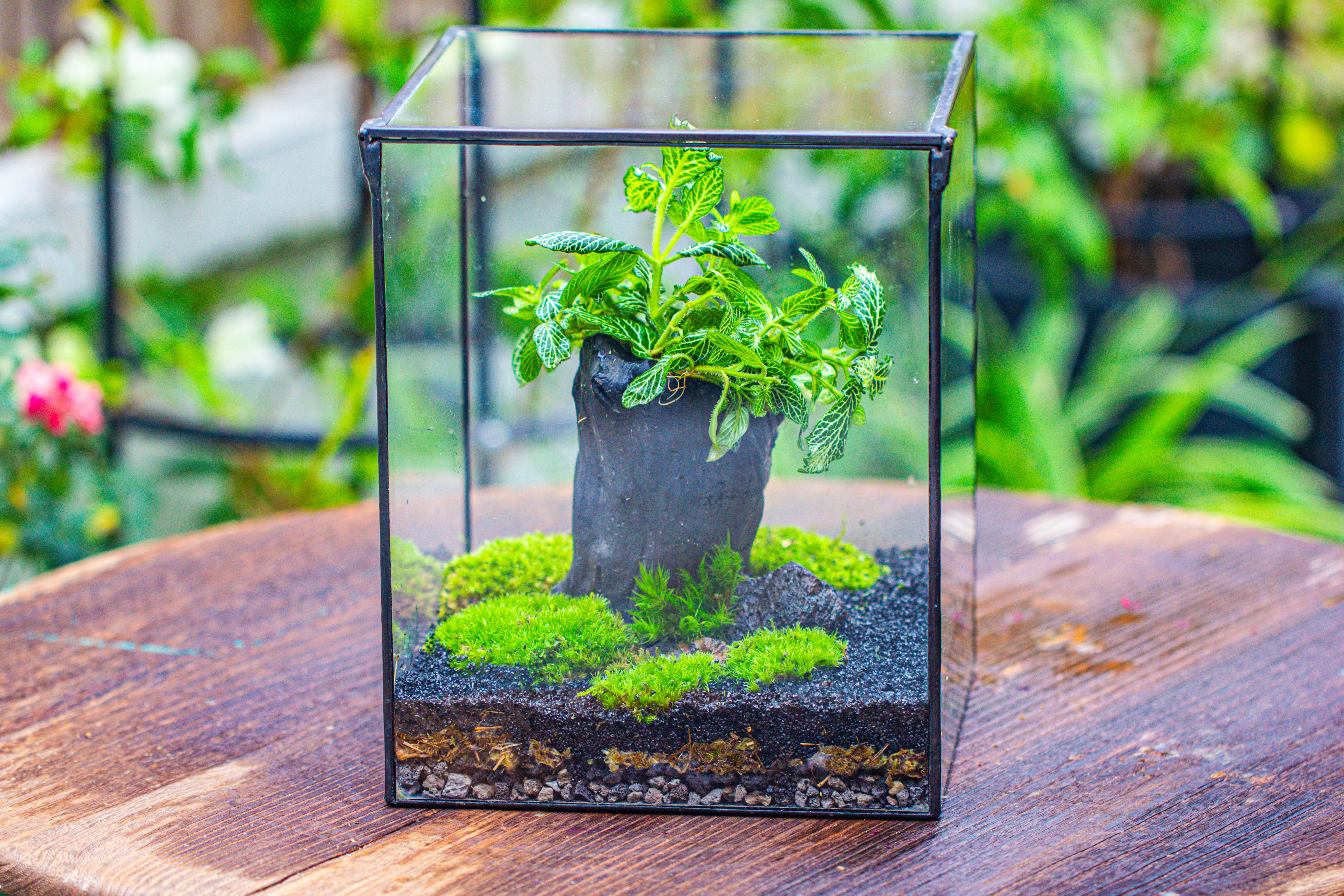 竖版大长方形 上开盖 - NCYPgarden