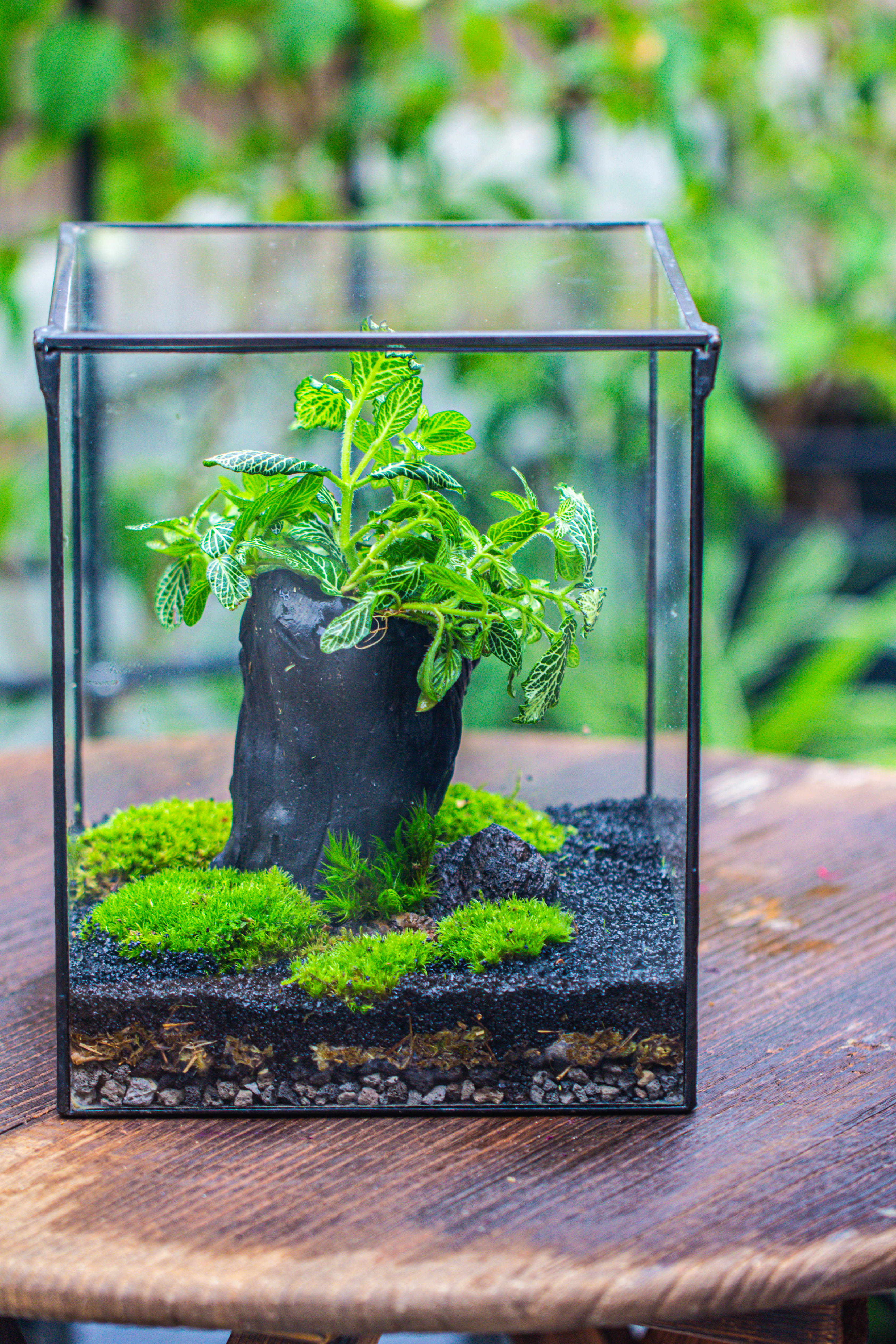 竖版大长方形 上开盖 - NCYPgarden