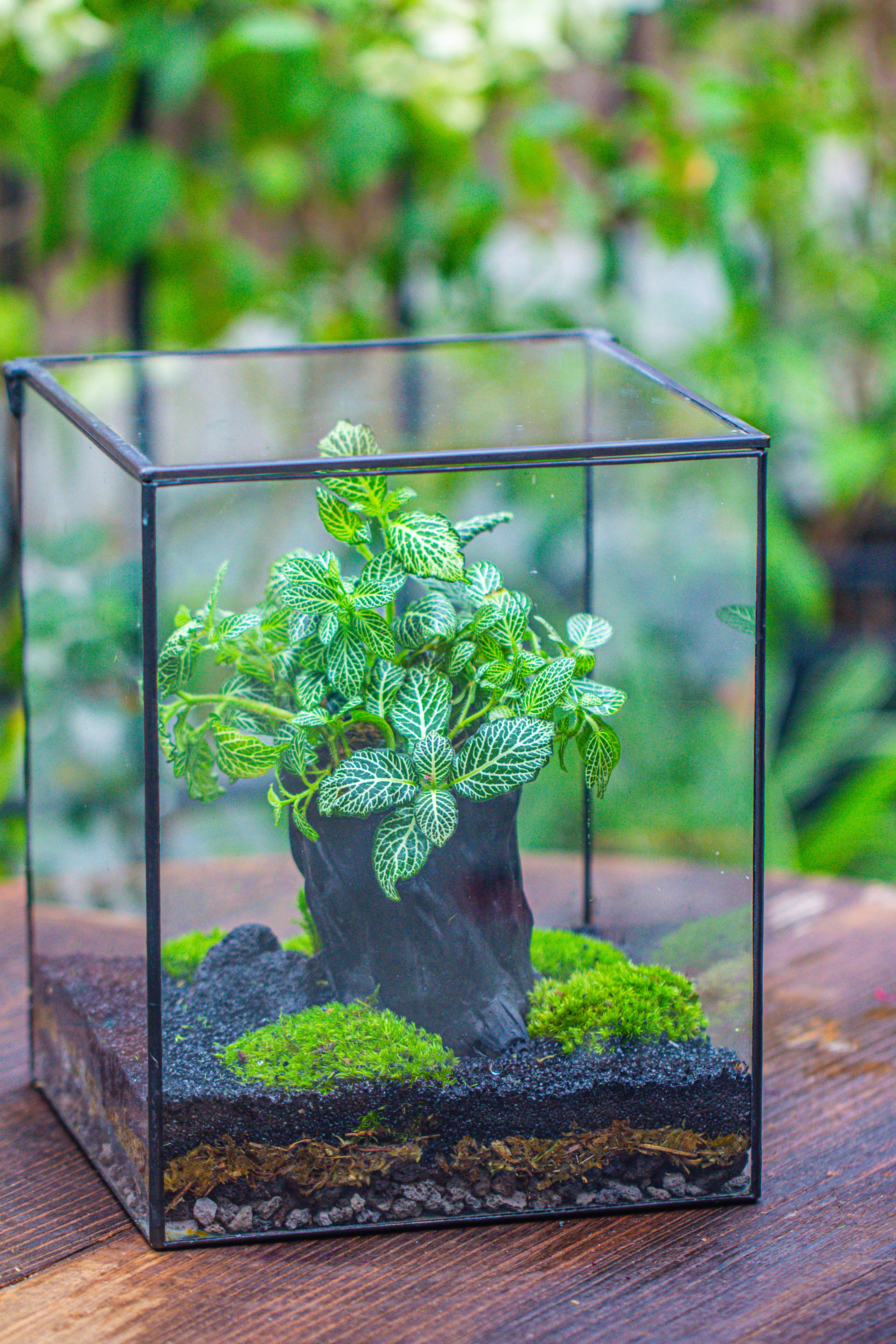 竖版大长方形 上开盖 - NCYPgarden