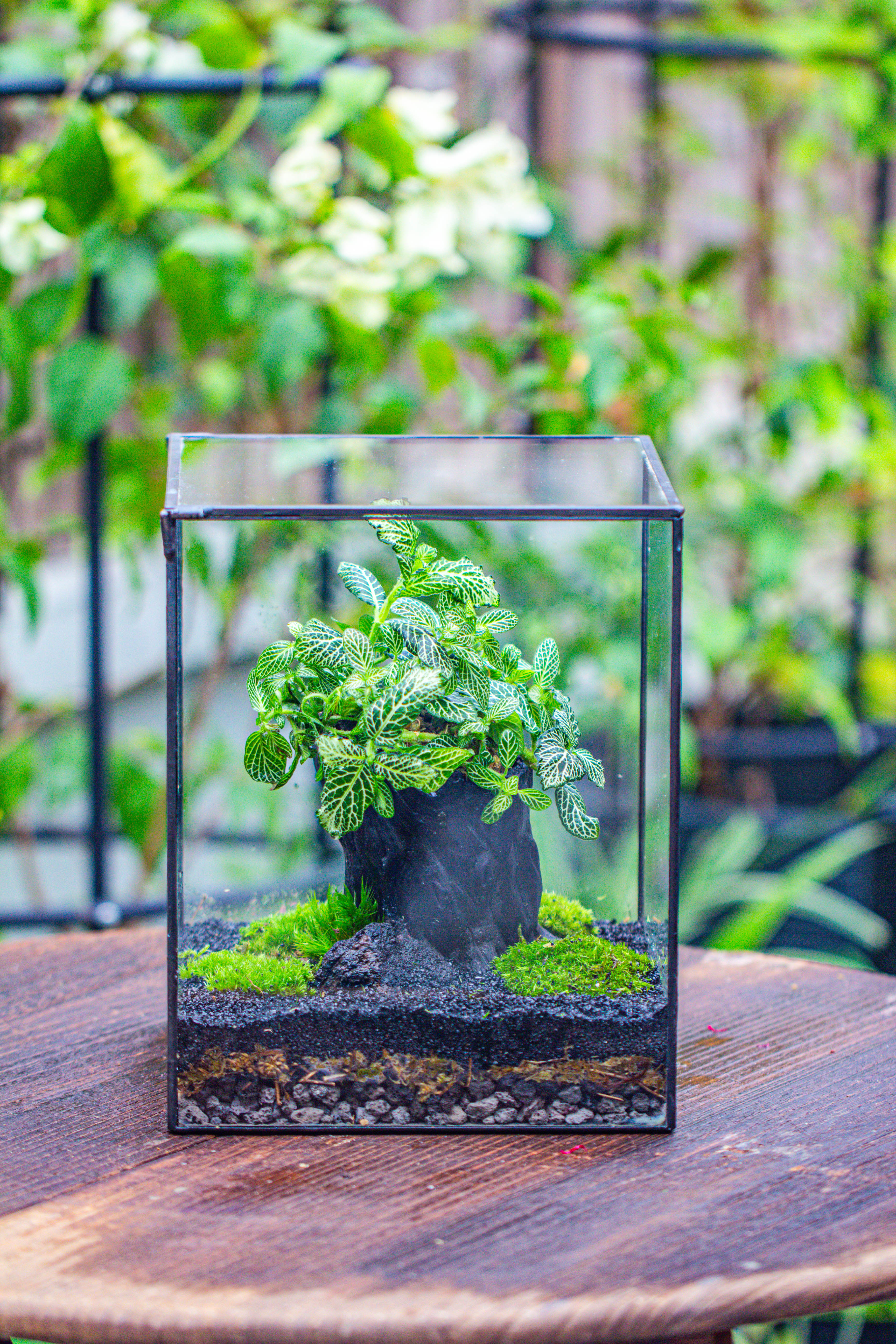 竖版大长方形 上开盖 - NCYPgarden