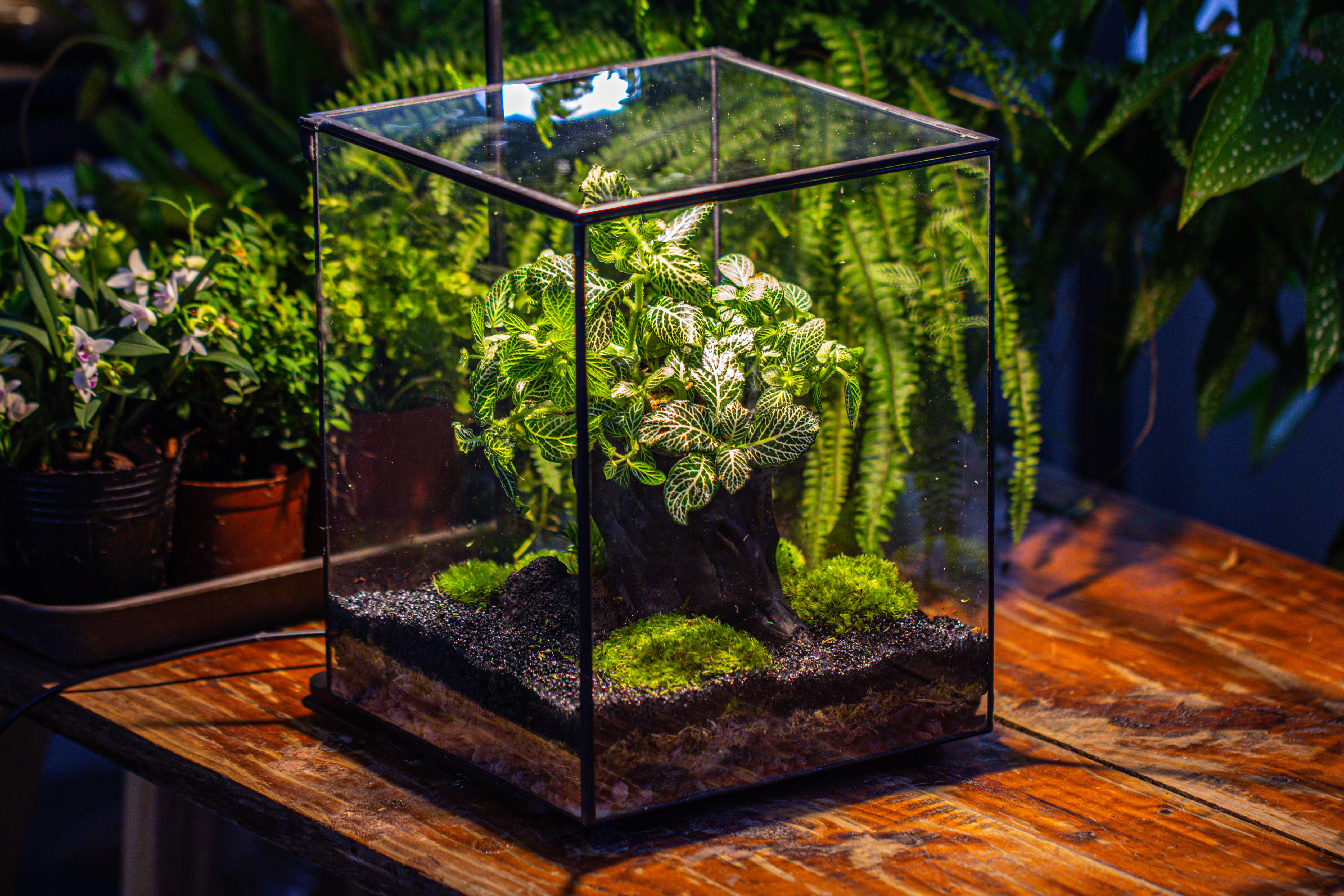 竖版大长方形 上开盖 - NCYPgarden