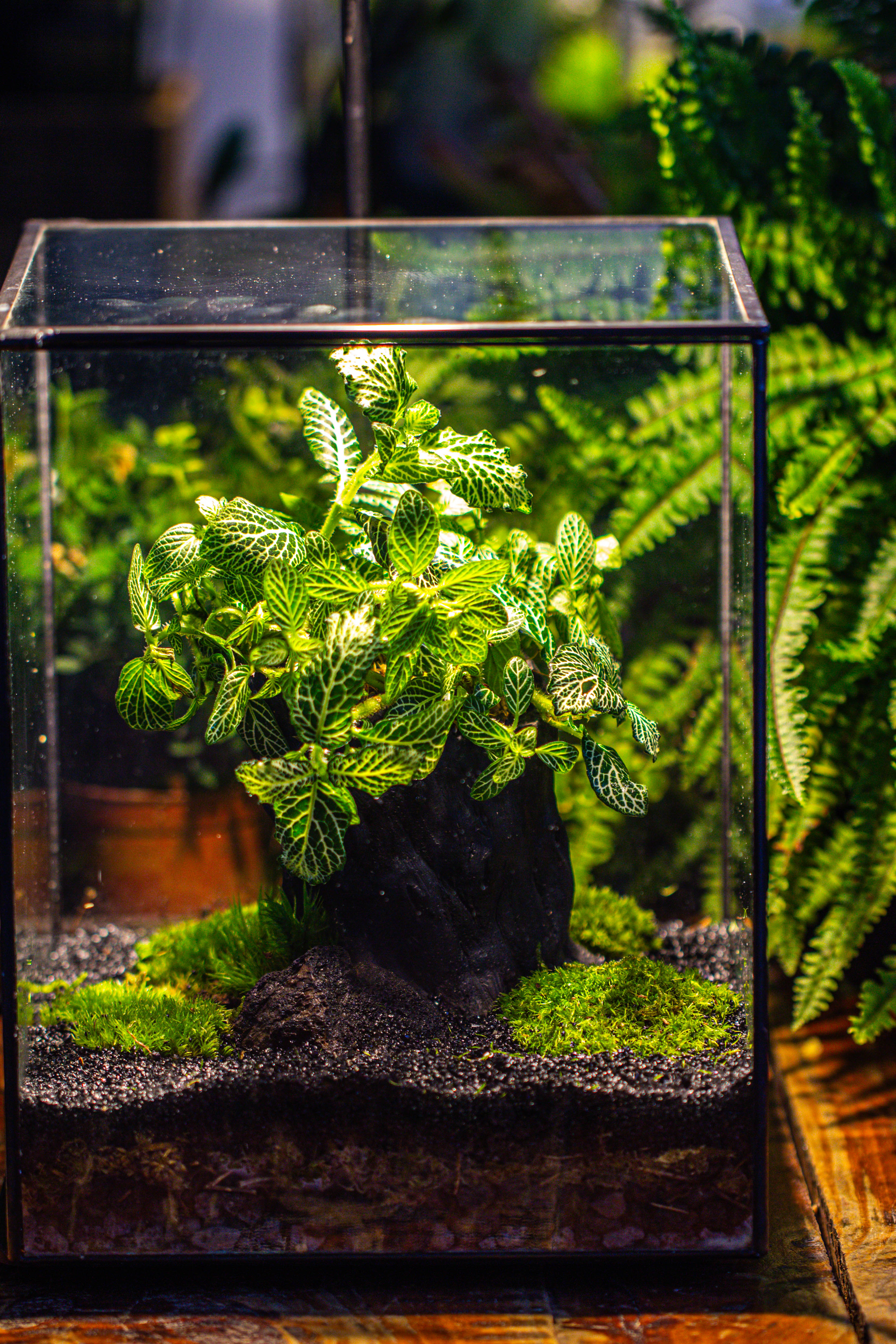 竖版大长方形 上开盖 - NCYPgarden