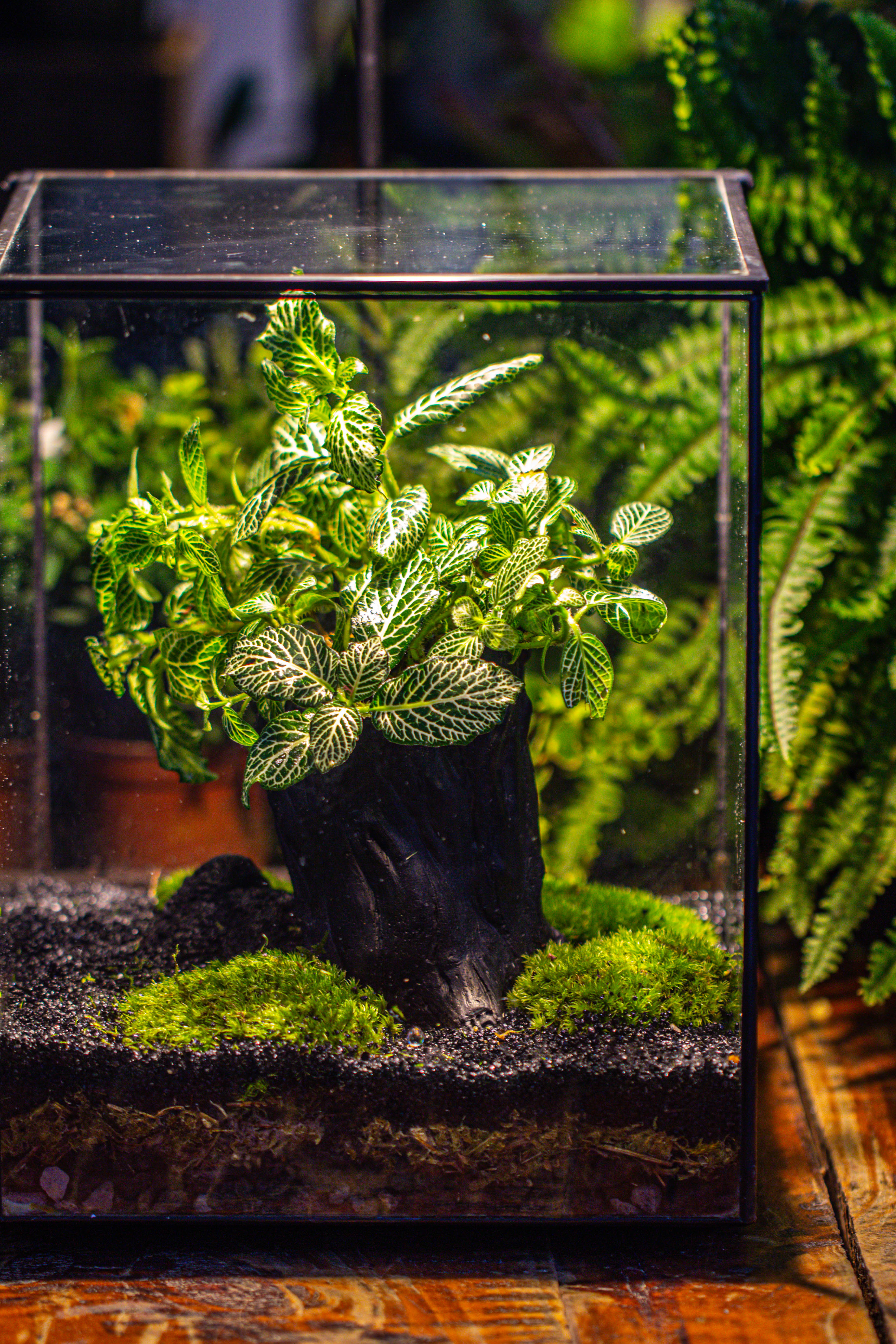 竖版大长方形 上开盖 - NCYPgarden