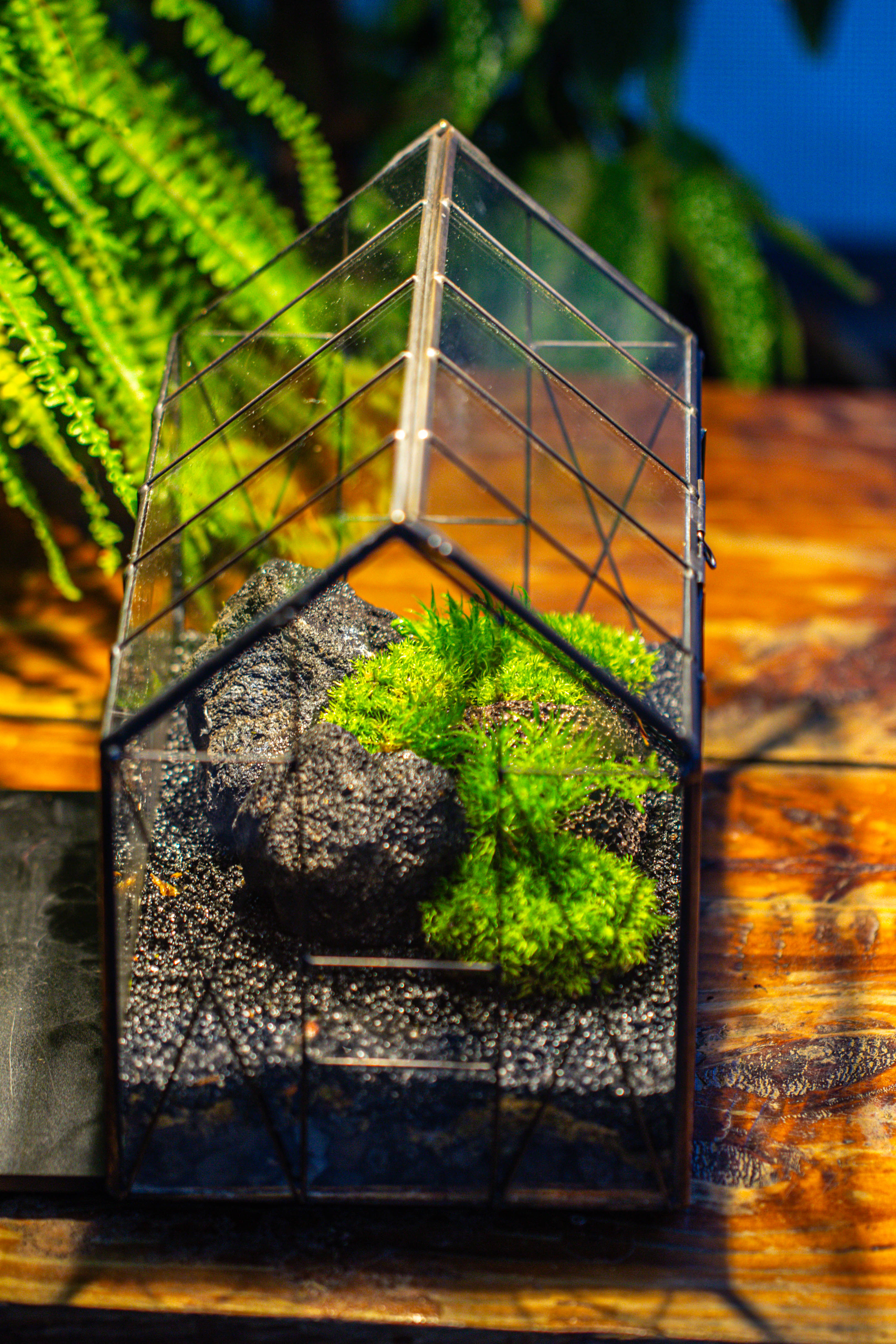 Handmade Vintage Greenhouse Inspired Tin Terrarium with LED Grow Light Set, Closed Glass Planter Set - NCYPgarden