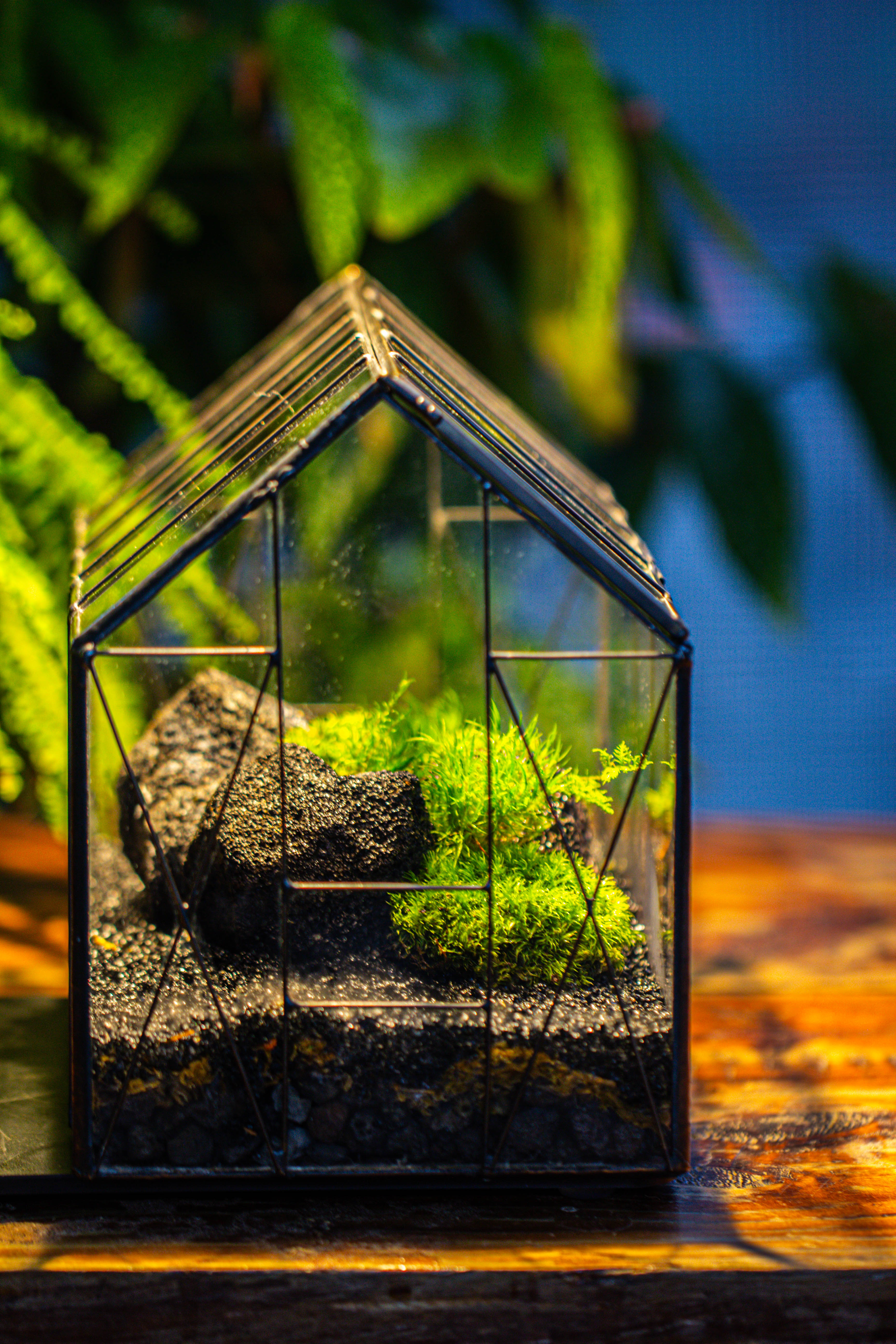 Handmade Vintage Greenhouse Inspired Tin Terrarium with LED Grow Light Set, Closed Glass Planter Set - NCYPgarden