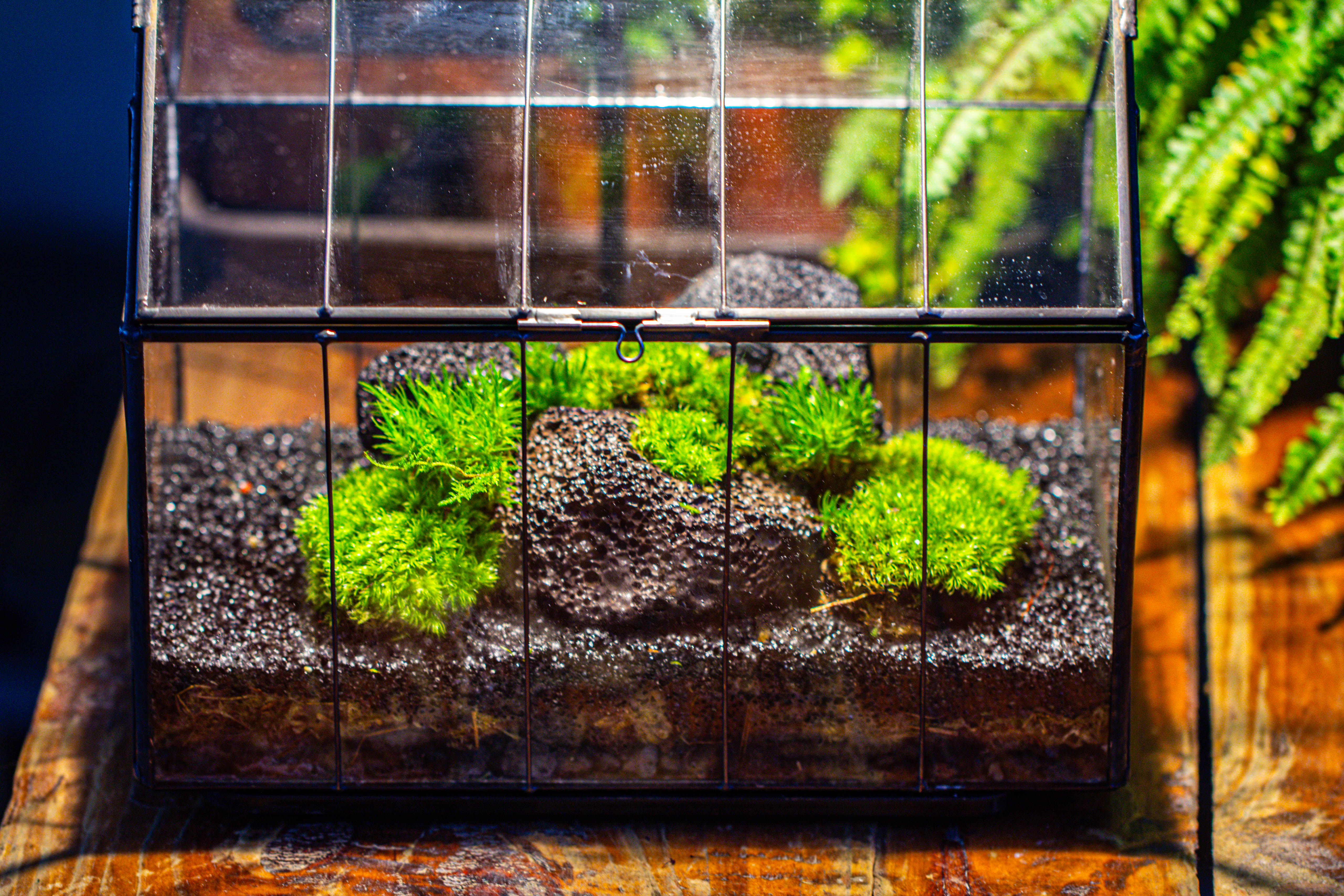 Handmade Vintage Greenhouse Inspired Tin Terrarium with LED Grow Light Set, Closed Glass Planter Set - NCYPgarden