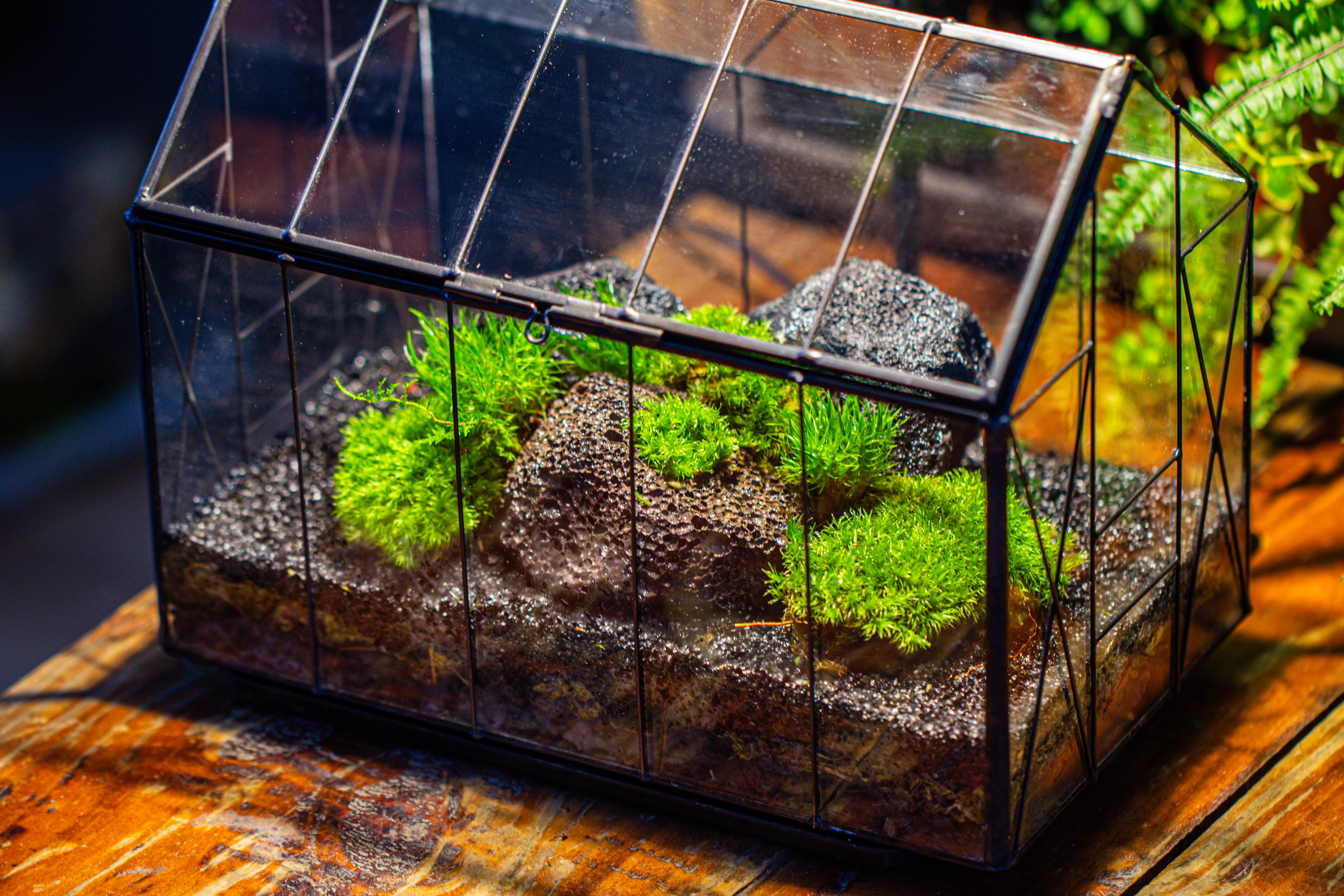 Handmade Vintage Greenhouse Inspired Tin Terrarium with LED Grow Light Set, Closed Glass Planter Set - NCYPgarden