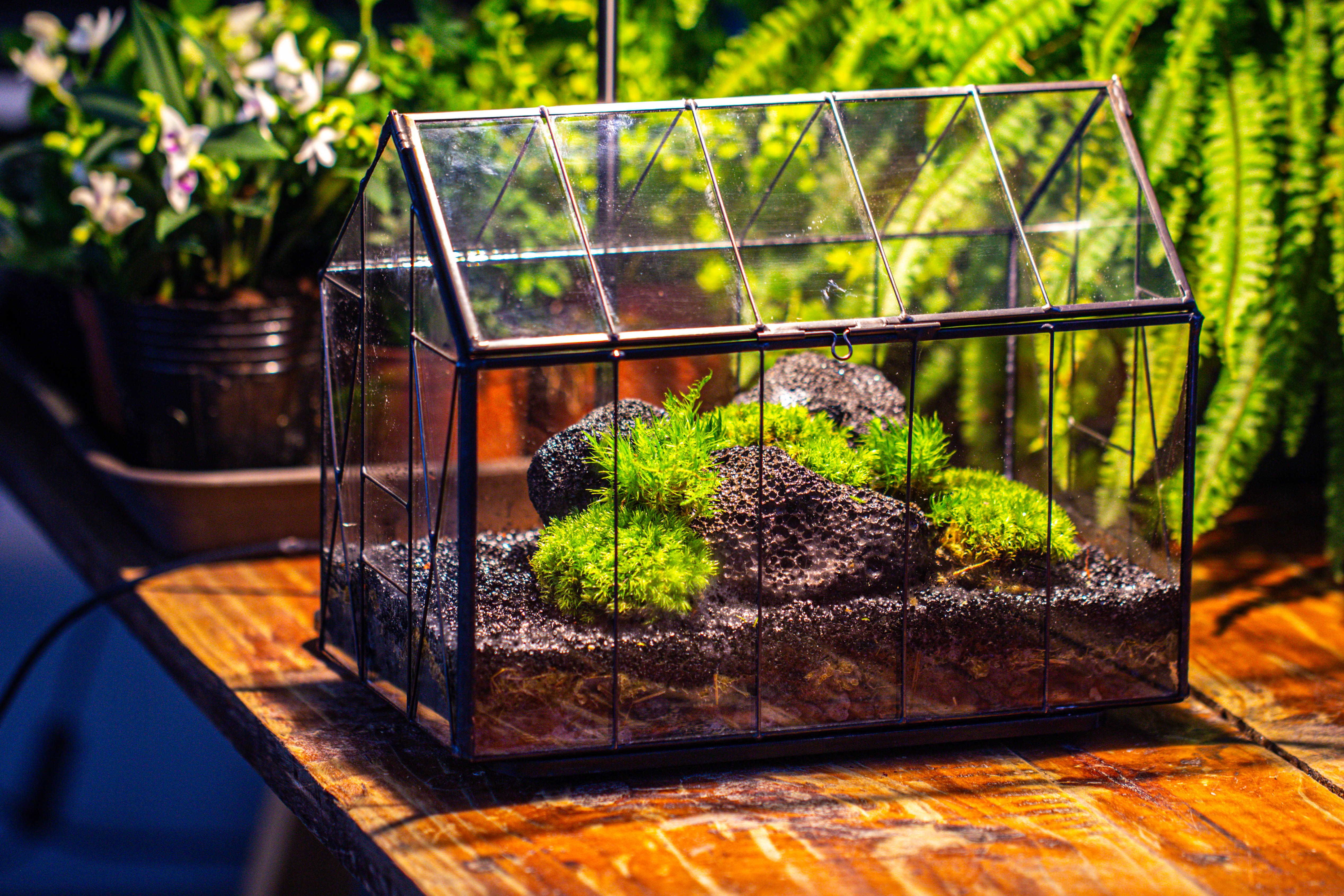 Handmade Vintage Greenhouse Inspired Tin Terrarium with LED Grow Light Set, Closed Glass Planter Set - NCYPgarden
