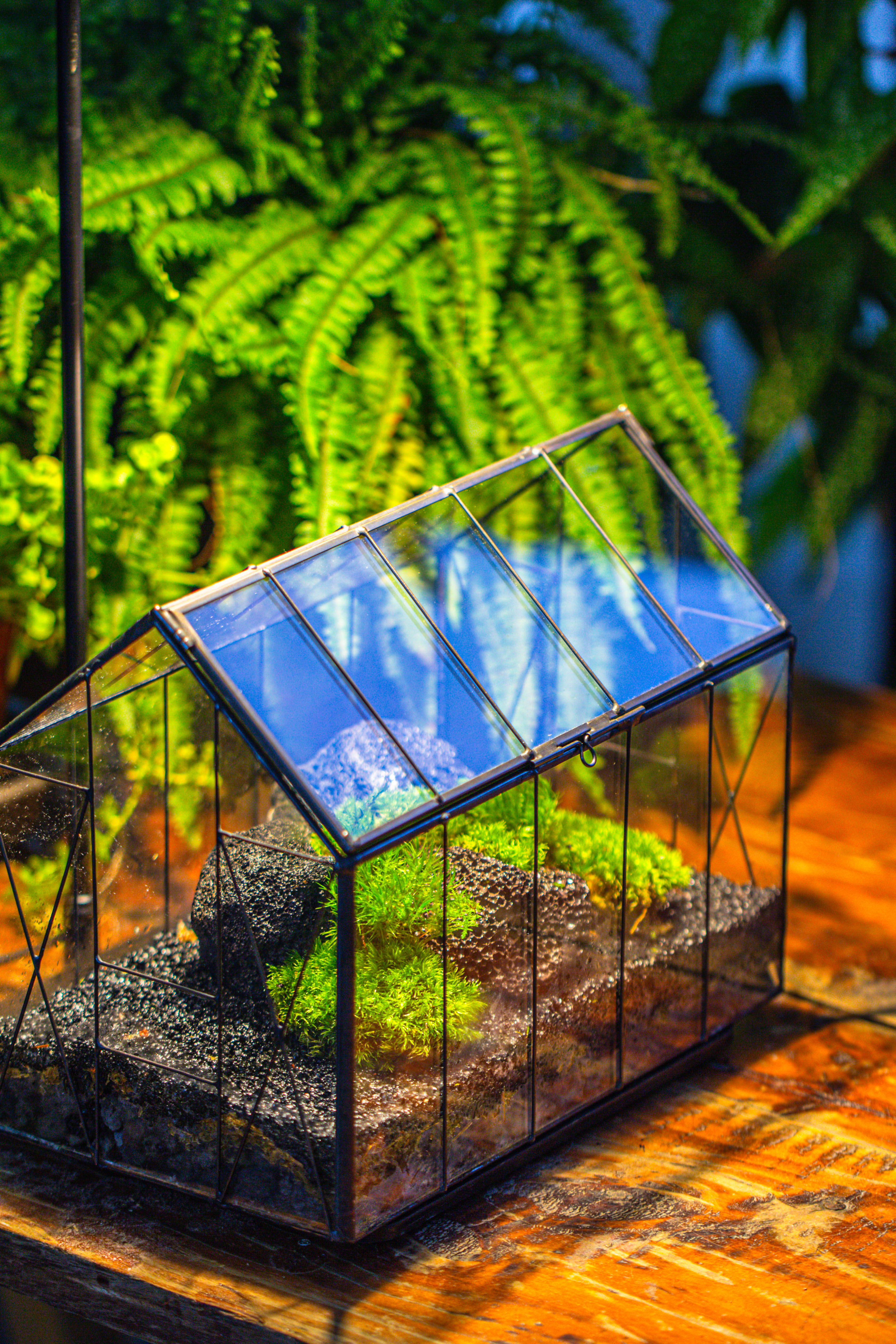 Handmade Vintage Greenhouse Inspired Tin Terrarium with LED Grow Light Set, Closed Glass Planter Set - NCYPgarden