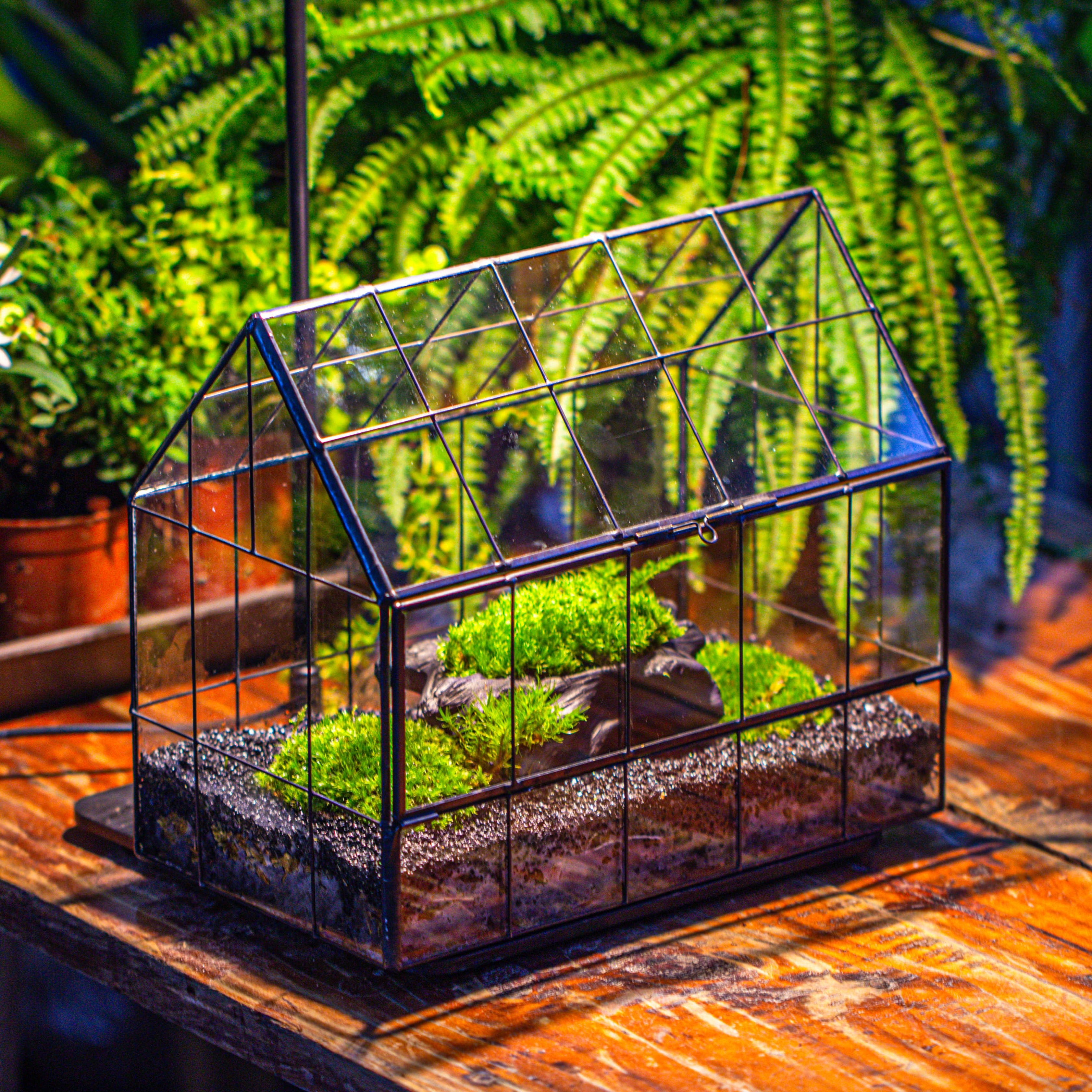 Handmade Glass Terrarium with LED Grow Light Set, Side Door Closed Geometric GreenHouse with Base and Light Set - NCYPgarden