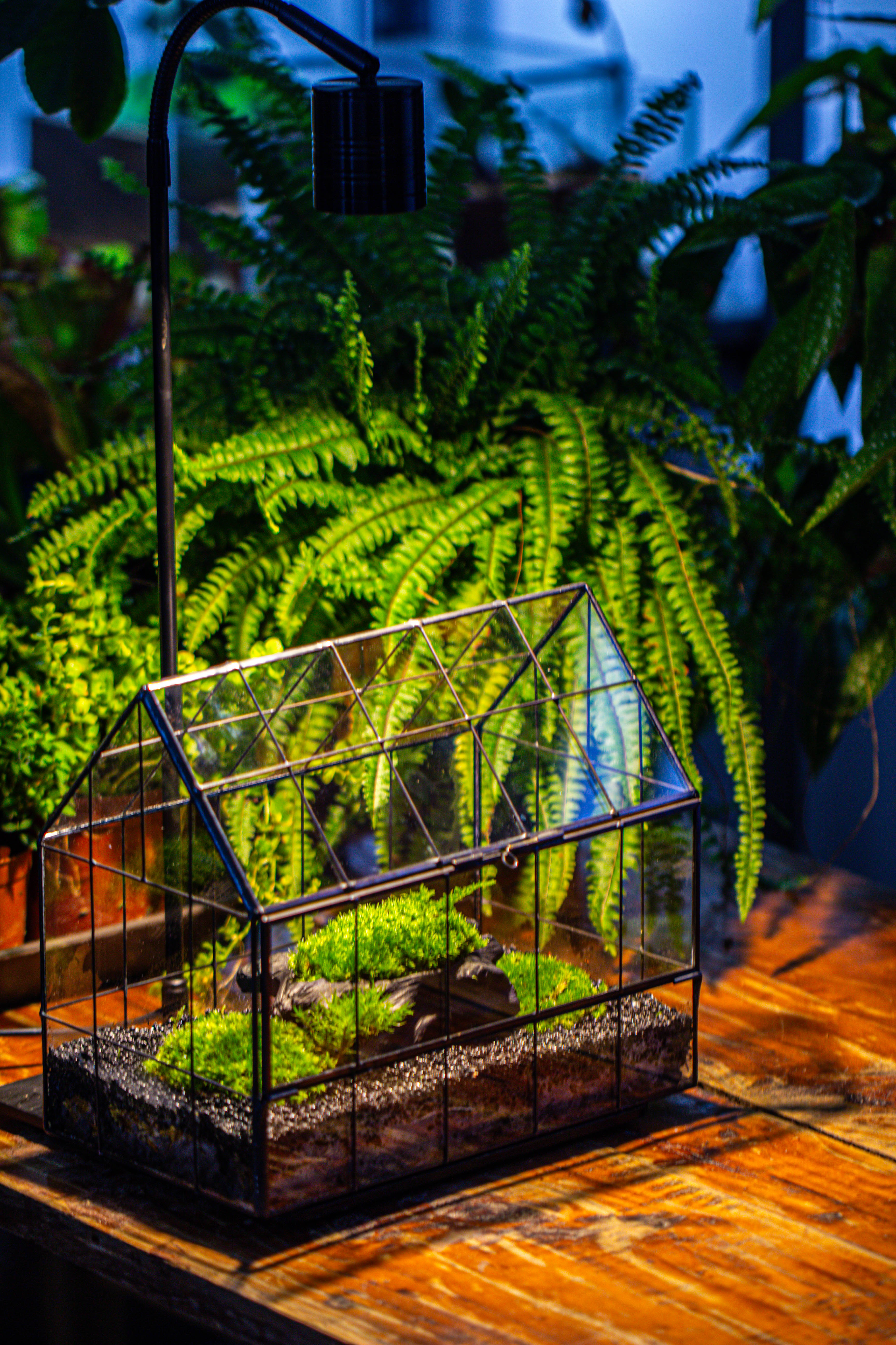 Handmade Glass Terrarium with LED Grow Light Set, Side Door Closed Geometric GreenHouse with Base and Light Set - NCYPgarden