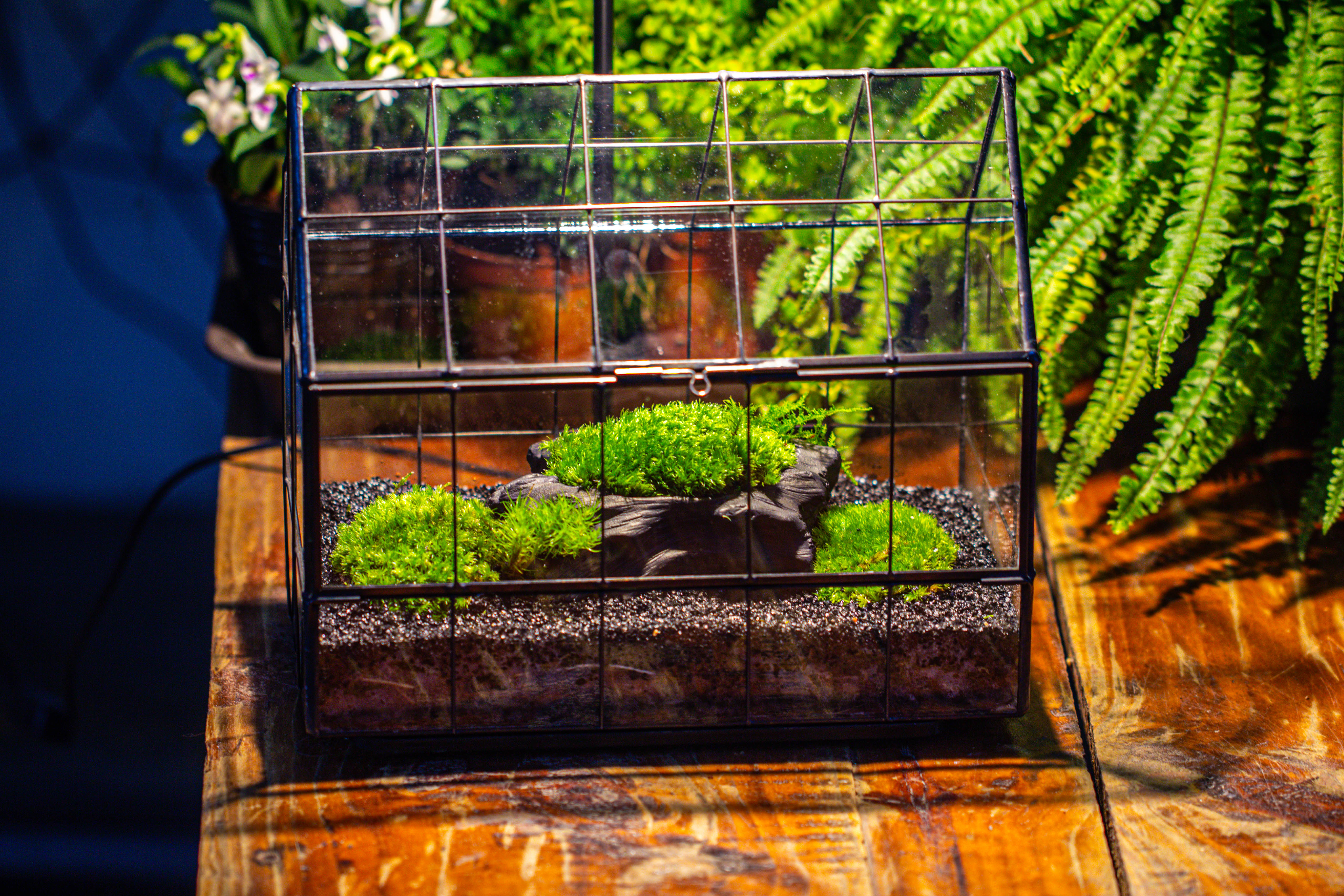 Handmade Glass Terrarium with LED Grow Light Set, Side Door Closed Geometric GreenHouse with Base and Light Set - NCYPgarden